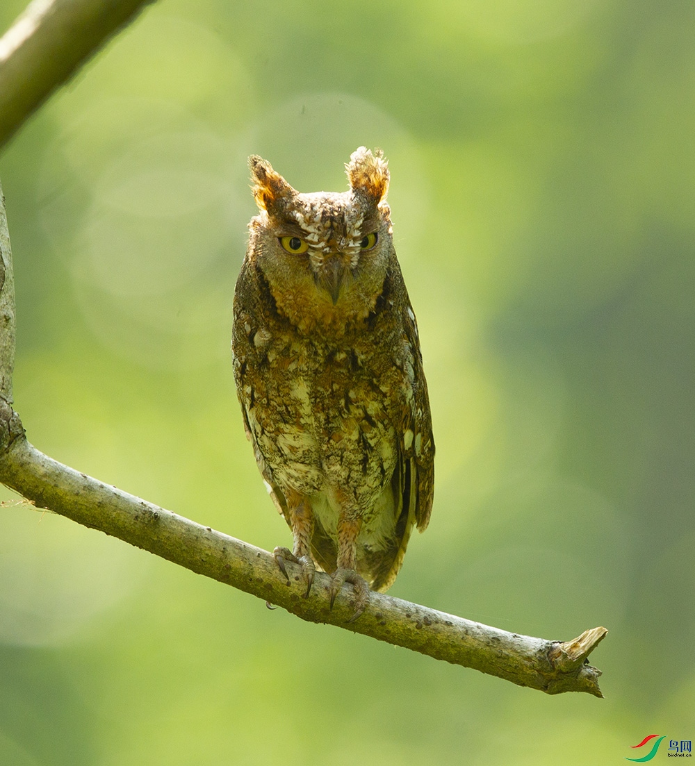 �������^ (10).jpg