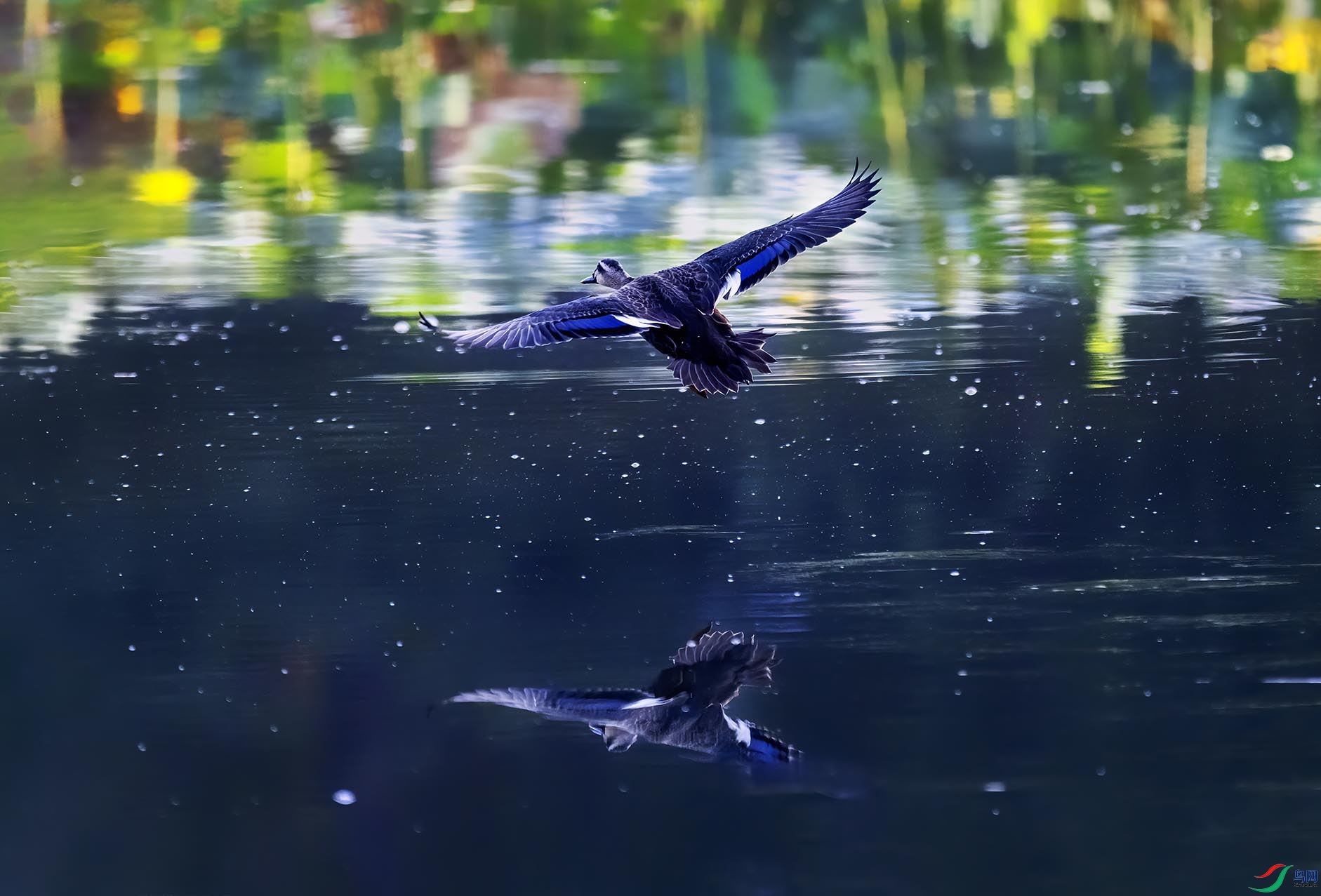 ����Ѽ�ɹ�