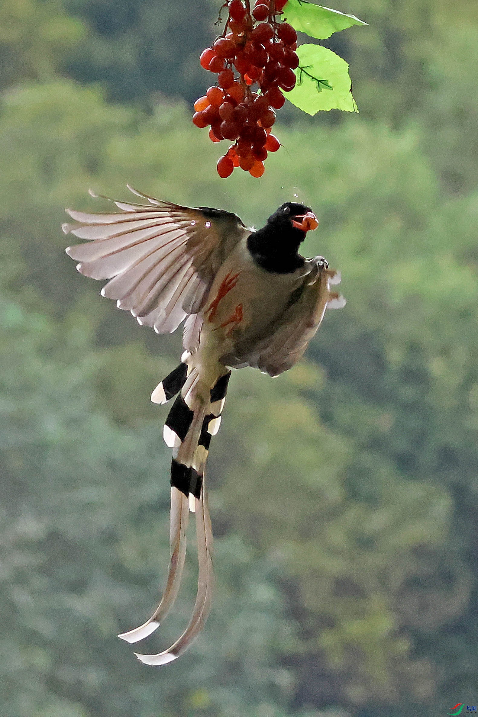2G9A3889.JPG