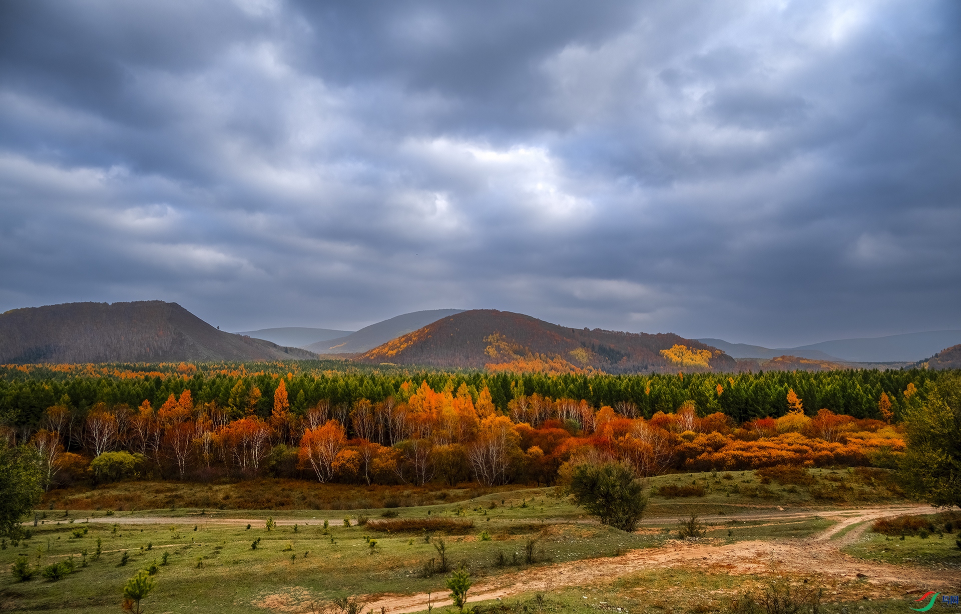 DSC_6882 - �Ƹ������.jpg