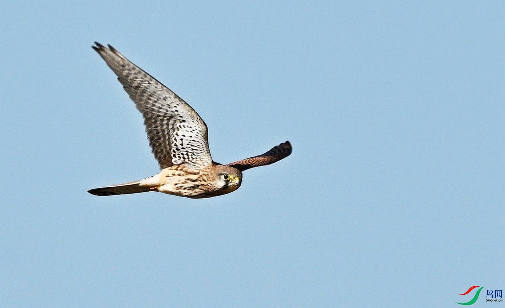 DSC_1373.JPG