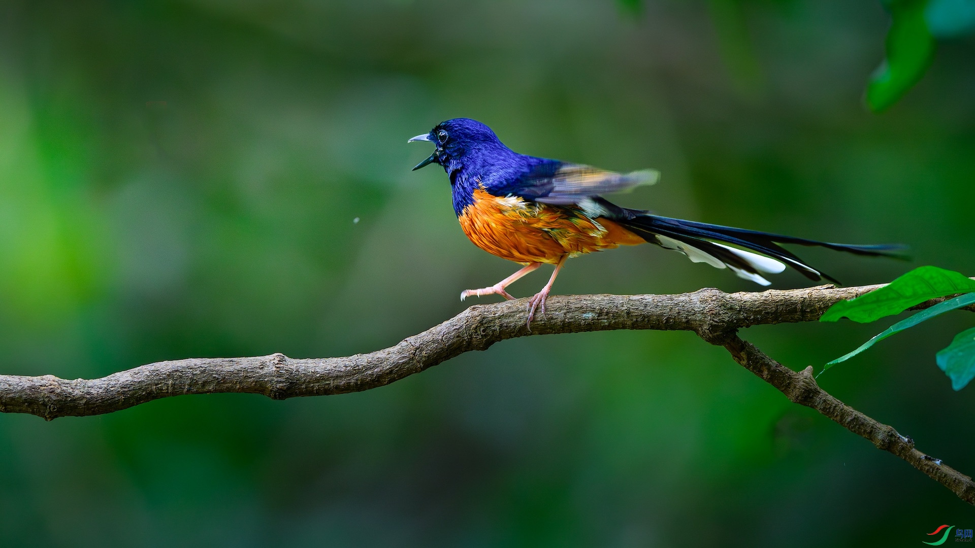 1_XXL0039-����ǿ-NR ����.jpg1-1.jpeg