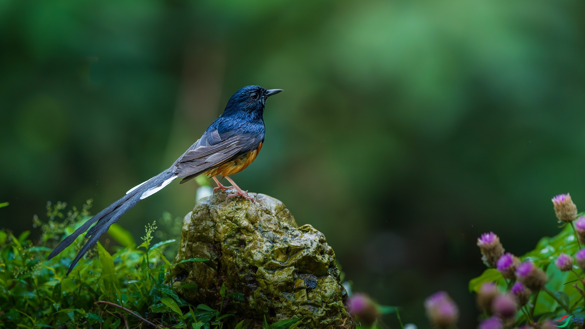 1_XXL0056-����ǿ-NR ����.jpg1-1.jpeg