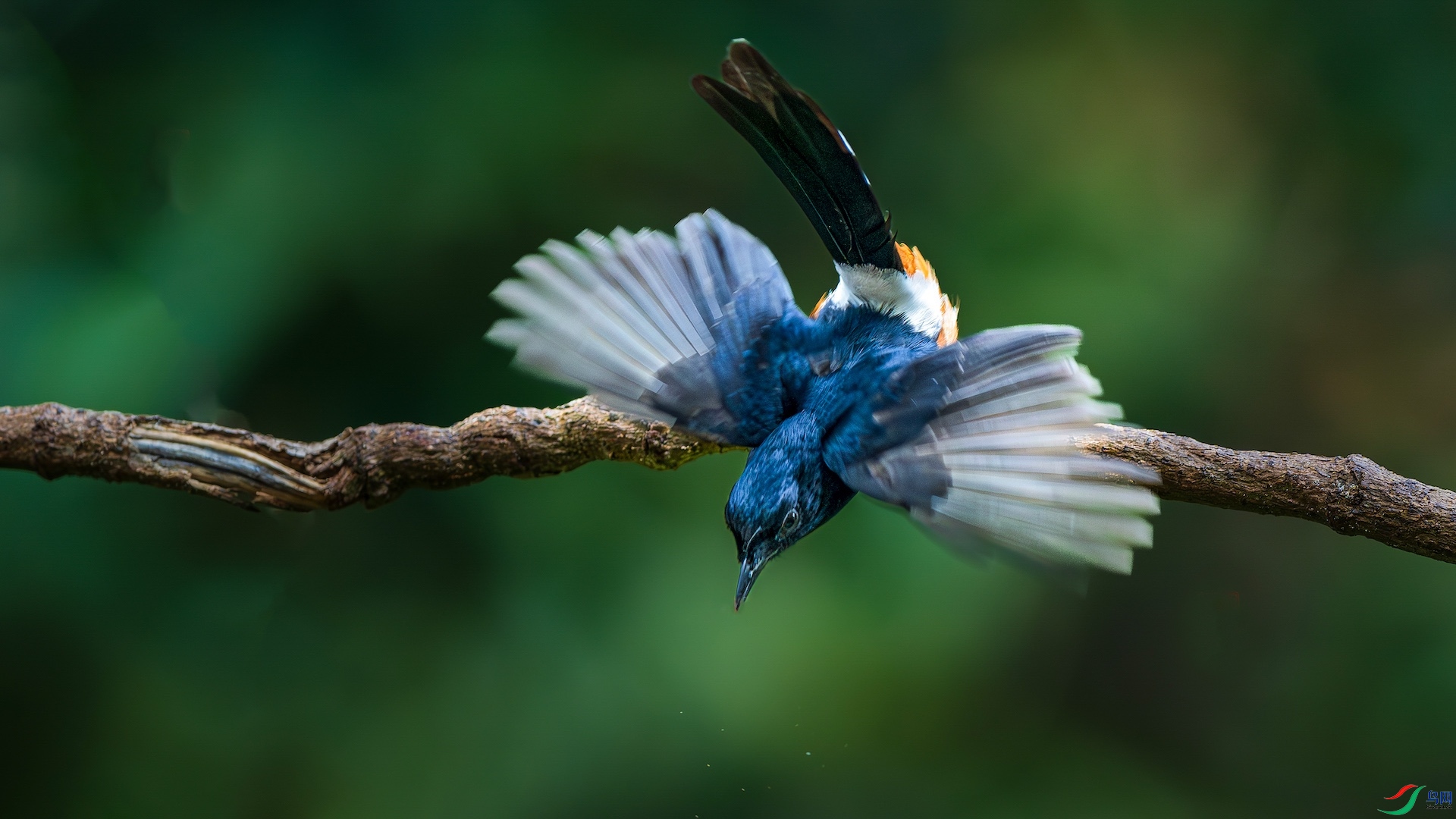 1_XXL0171-����ǿ-NR ����.jpg1-1.jpeg