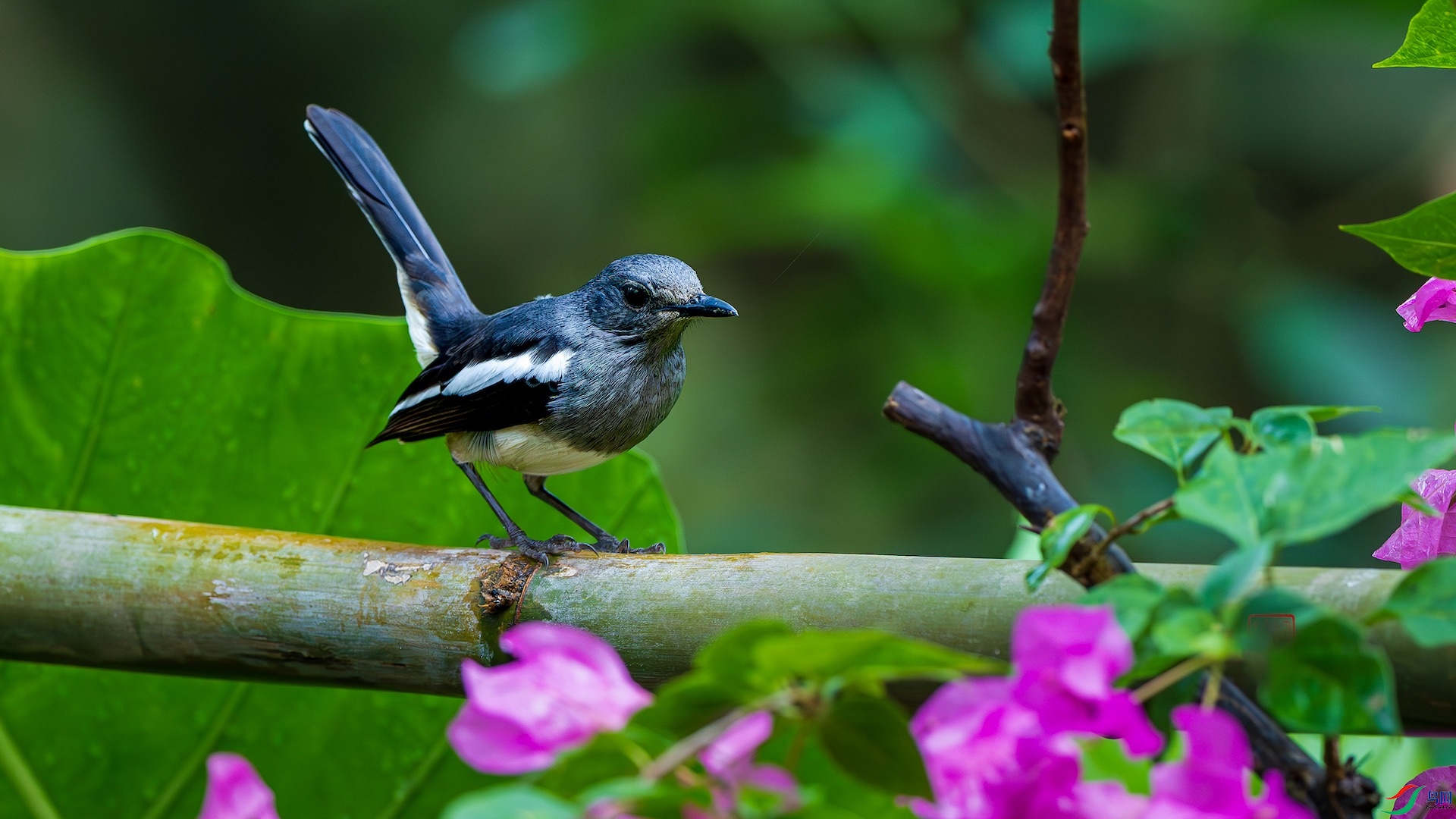 1_XXL0334-����ǿ-NR ����.jpg1-1.jpeg