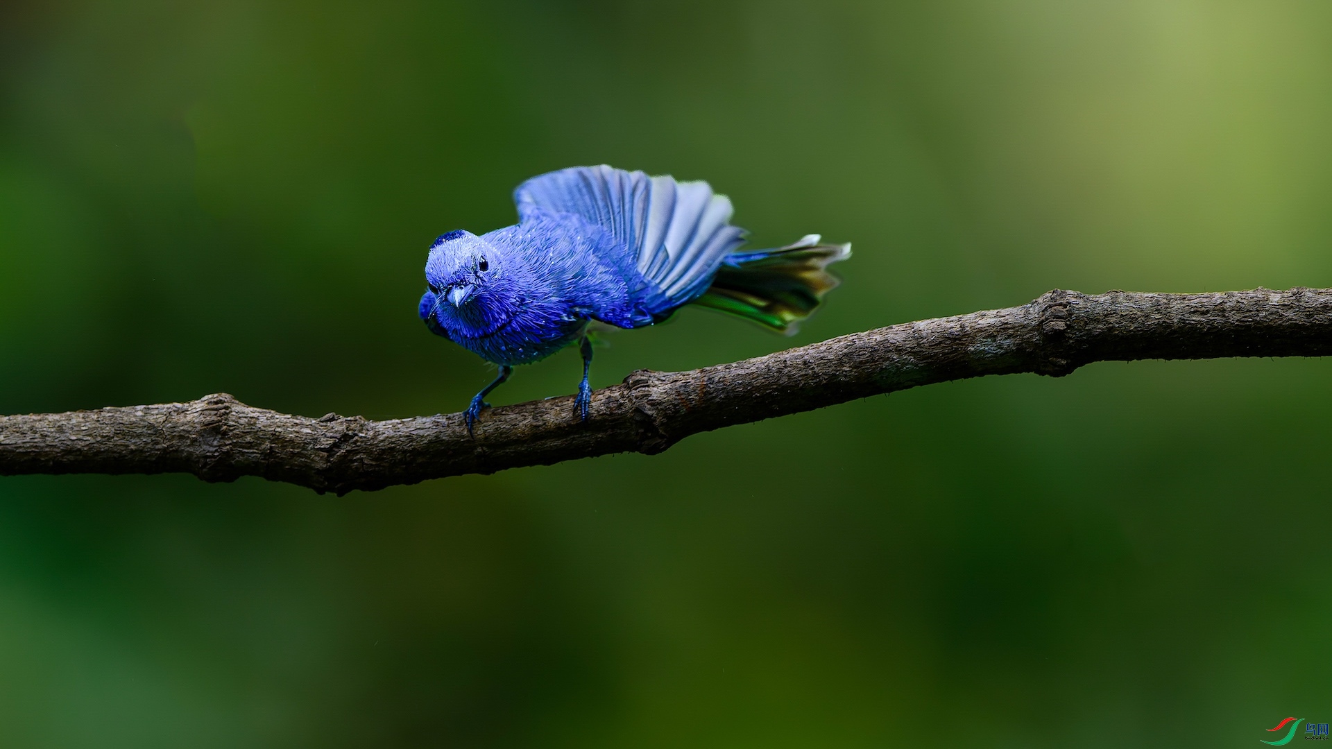 1_XXL1323-����ǿ-NR ����-1.jpeg