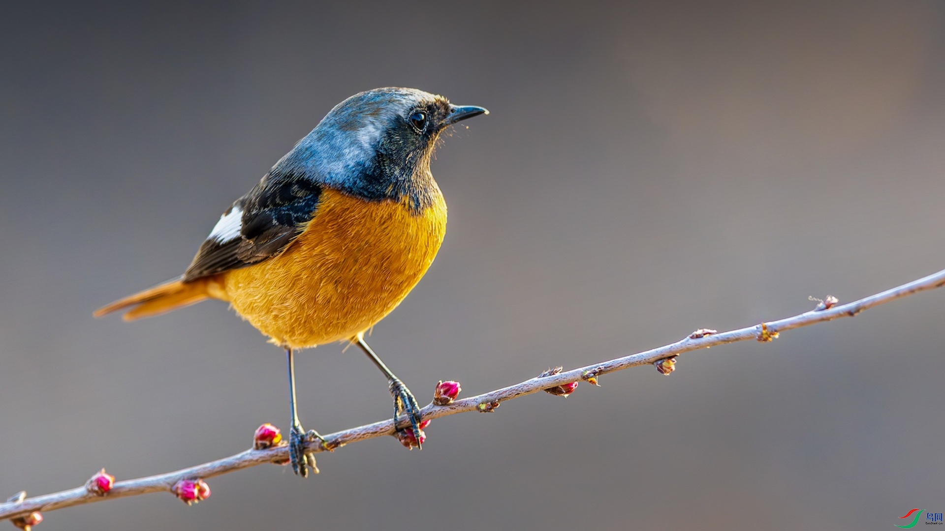 1-3322 2 ����.jpeg