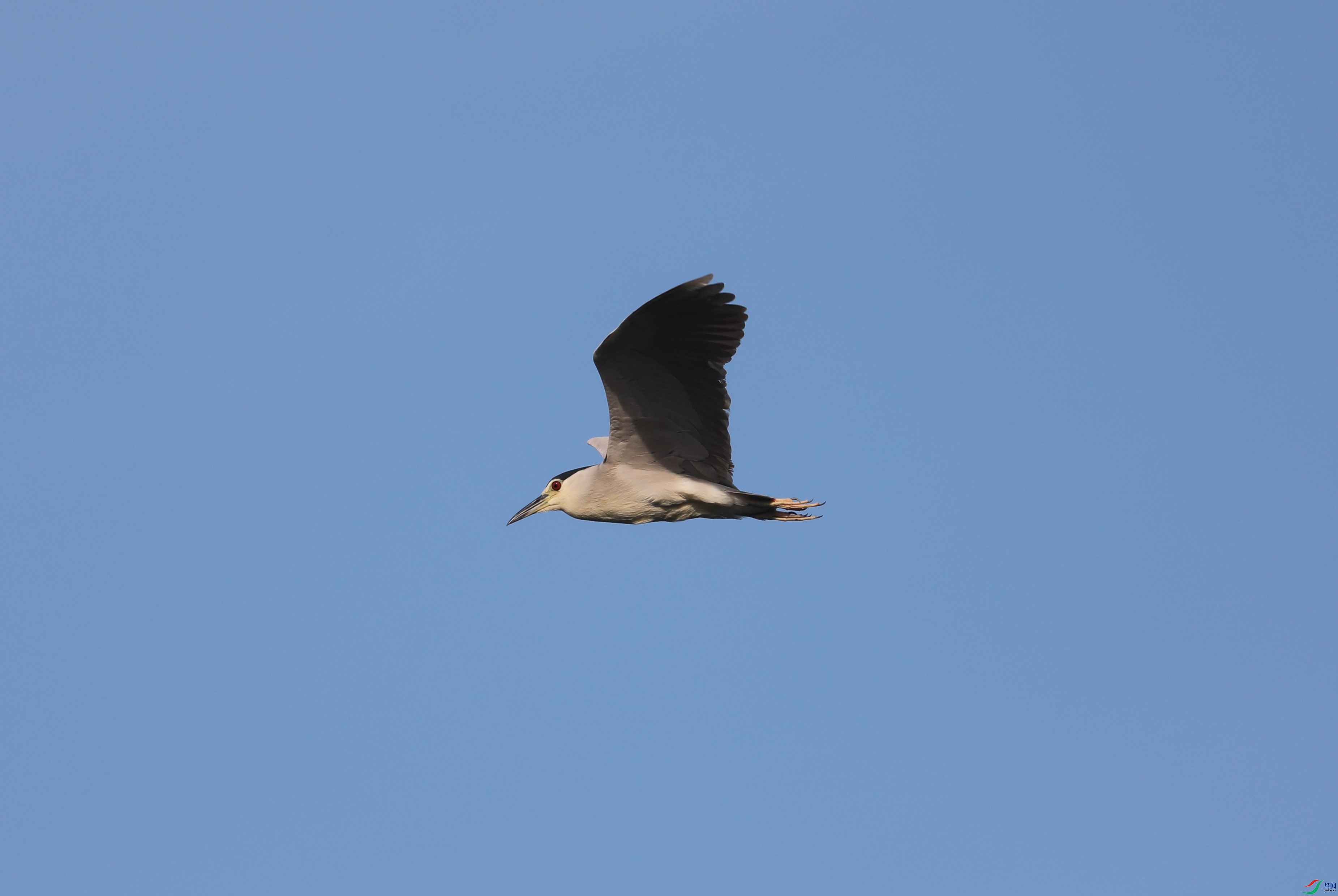 BL7A6719.JPG