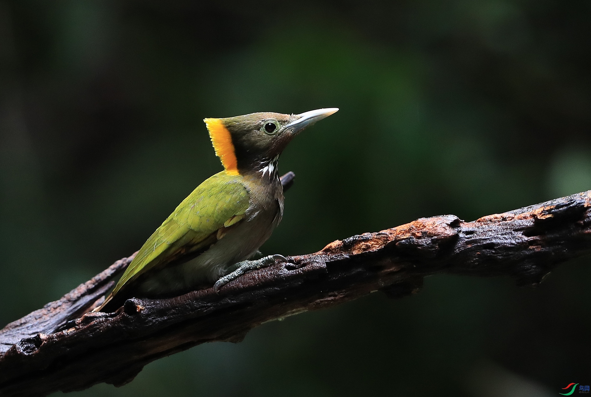 ����AI0I6760.JPG