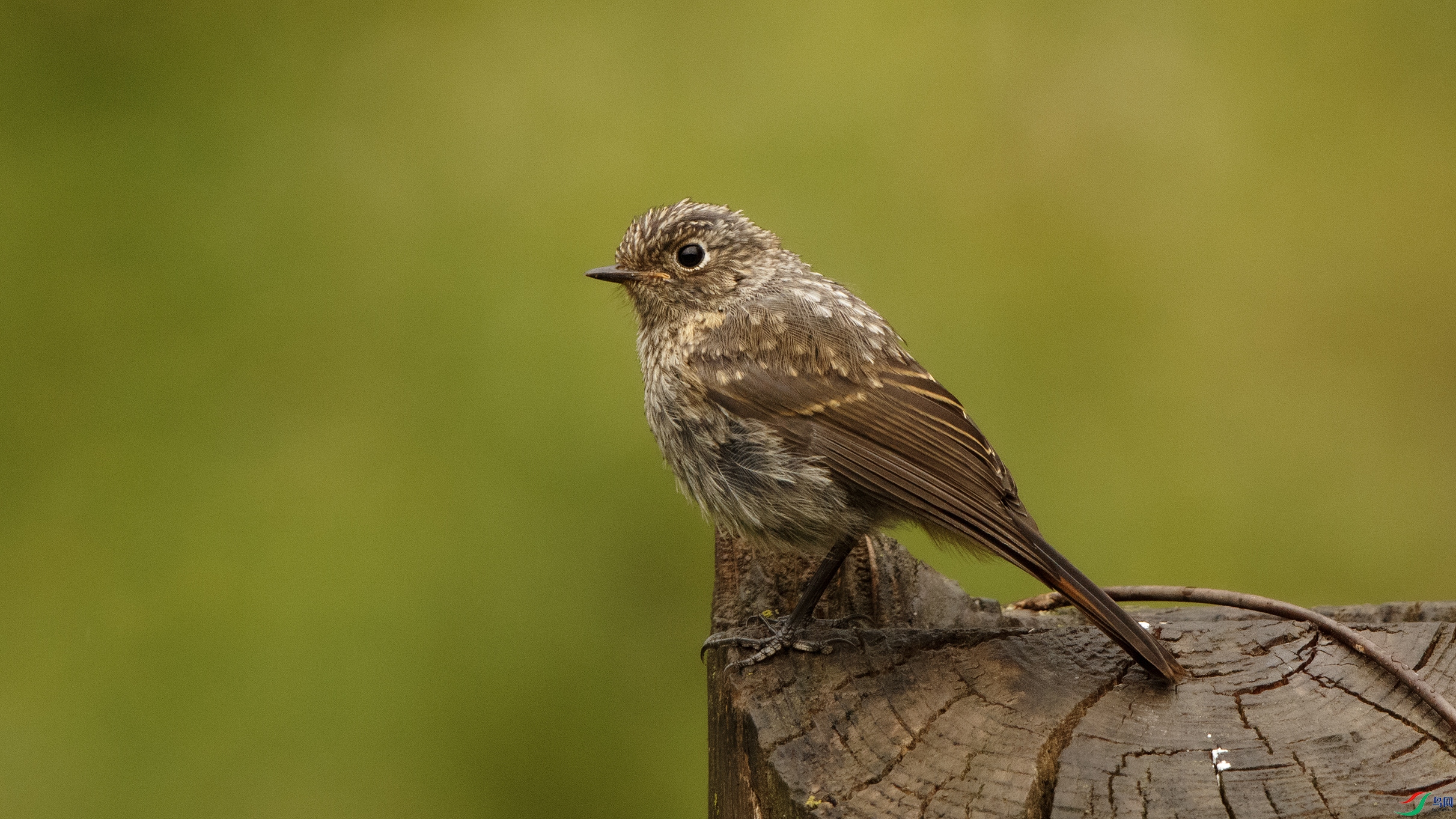 _MG_8309 ����000.jpg