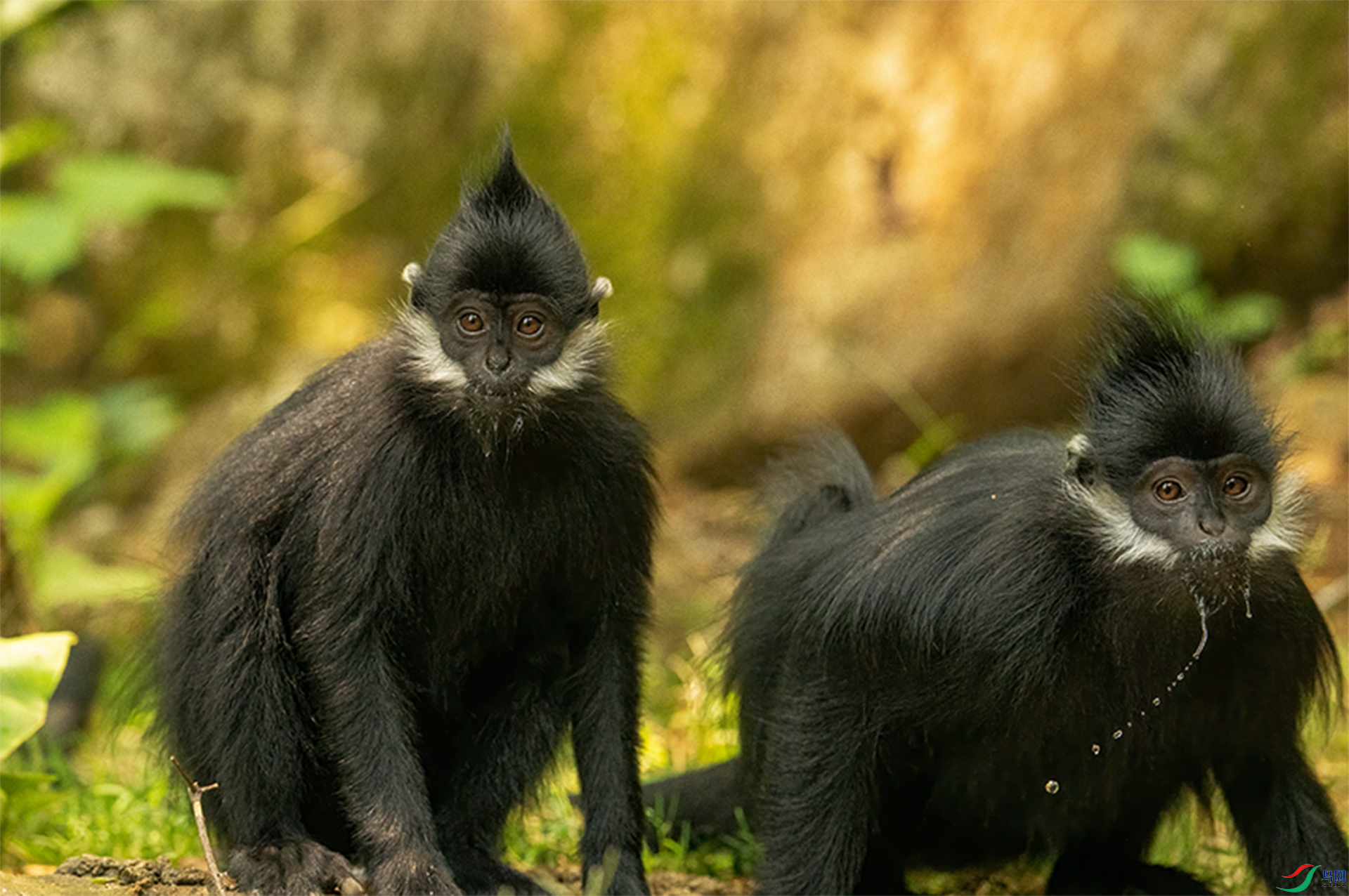 DSC05955.png    000002.png