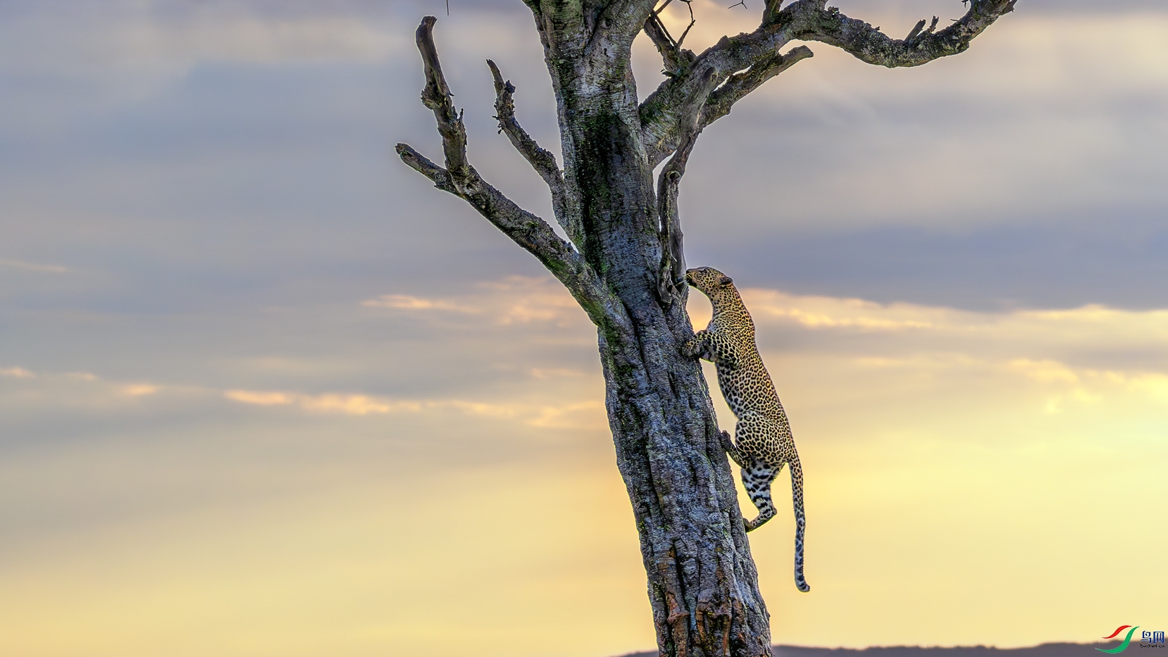 _DSC5150-����ǿ-NR-1 ����.jpg