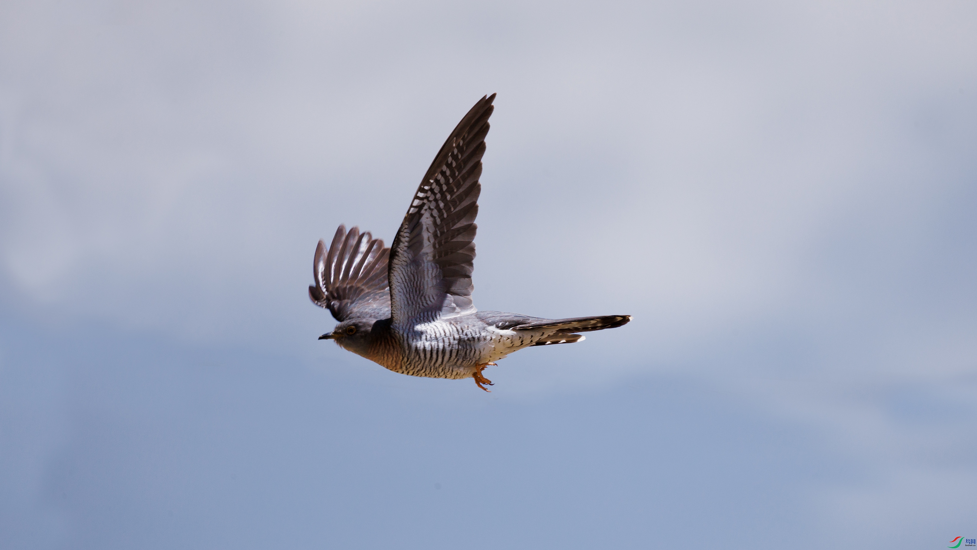 7X5A4303 ����1111.jpg