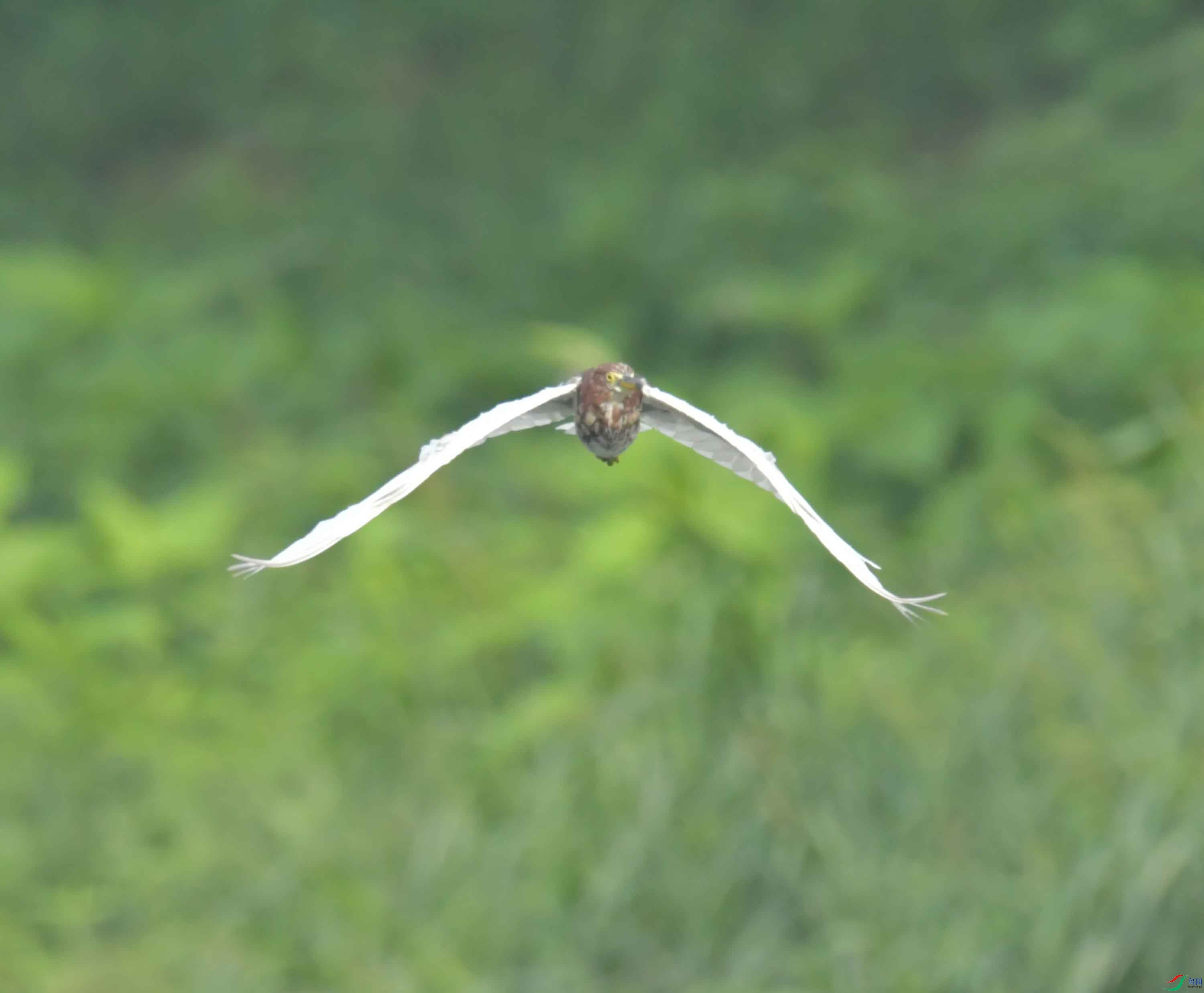 DSC_3916.JPG