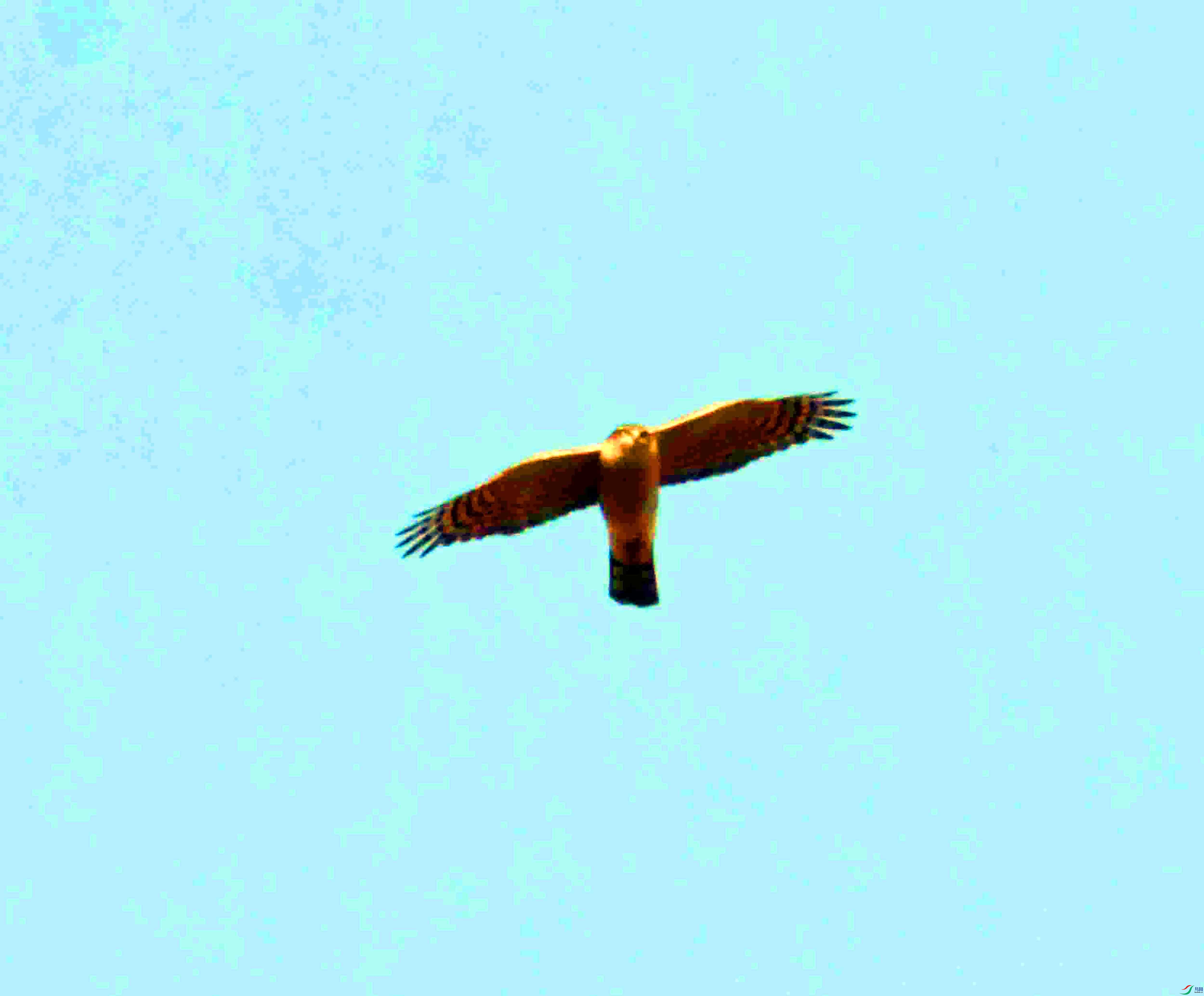 DSC_1587.JPG