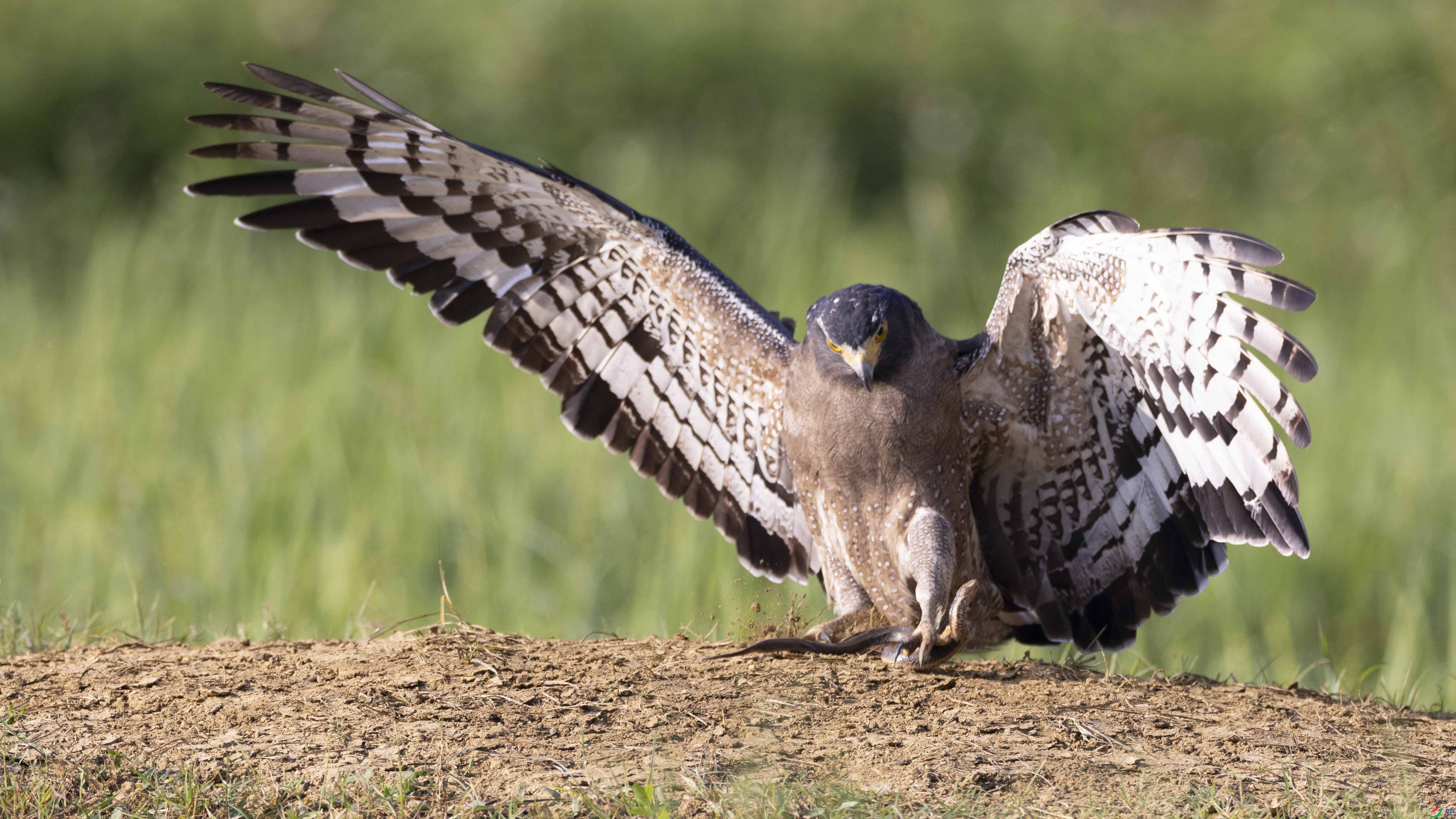 4Z6A9905 ����.jpg