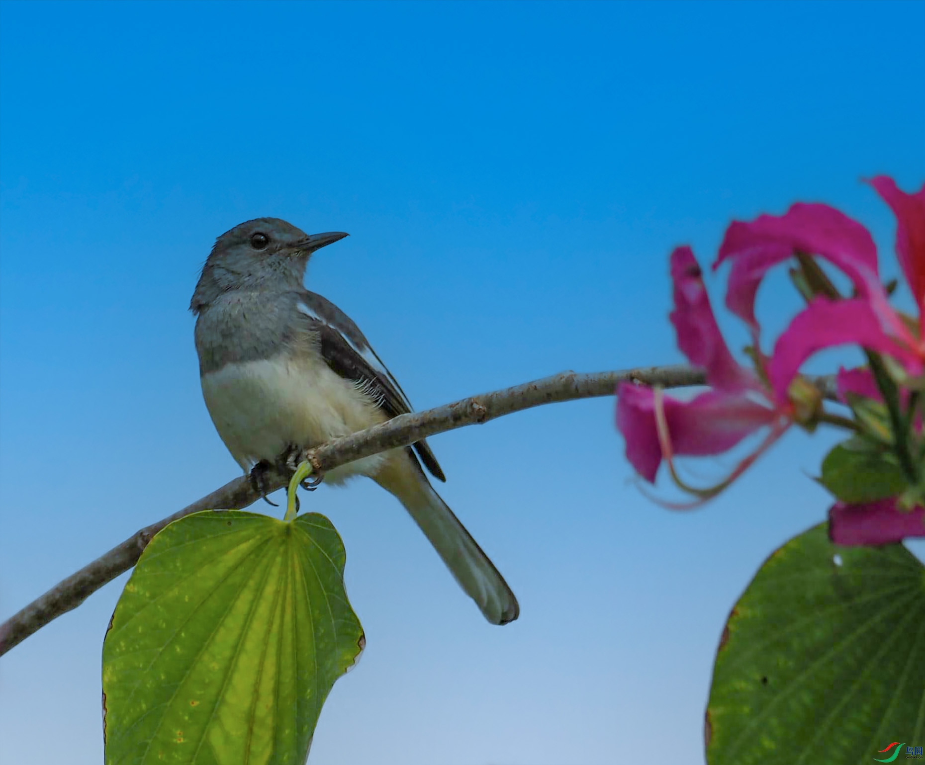 PB110577_���ٿ�ͼ(2) - ����.jpg