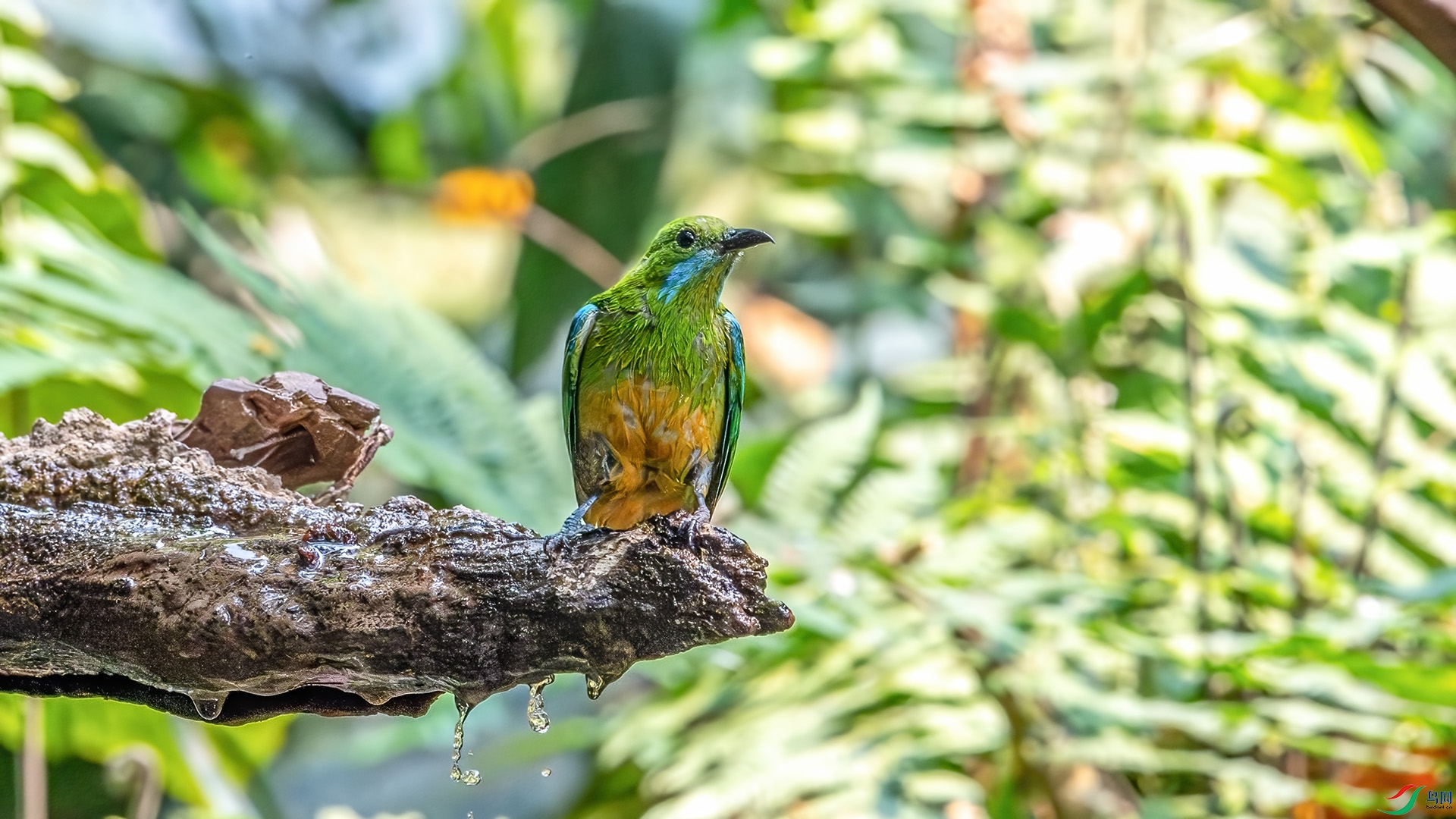 DSC_2540-����ǿ-NR.jpg
