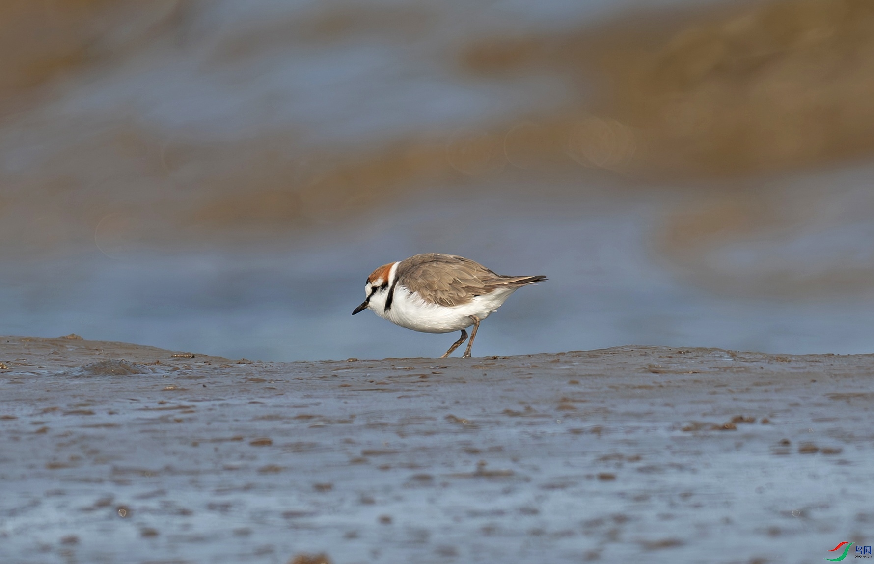 _DSC1225f.jpg