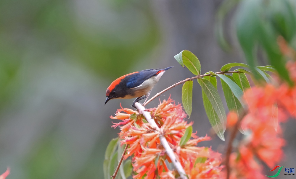 DSCF8394.1.jpg