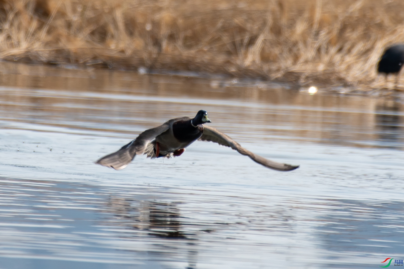 DSC_5897.jpg