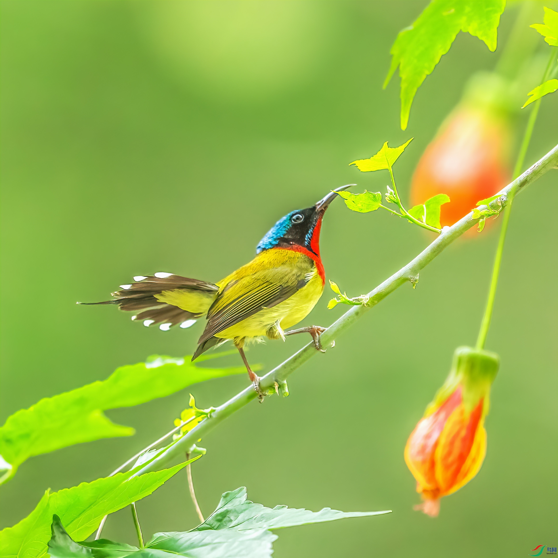 C09R7233 ����.jpg