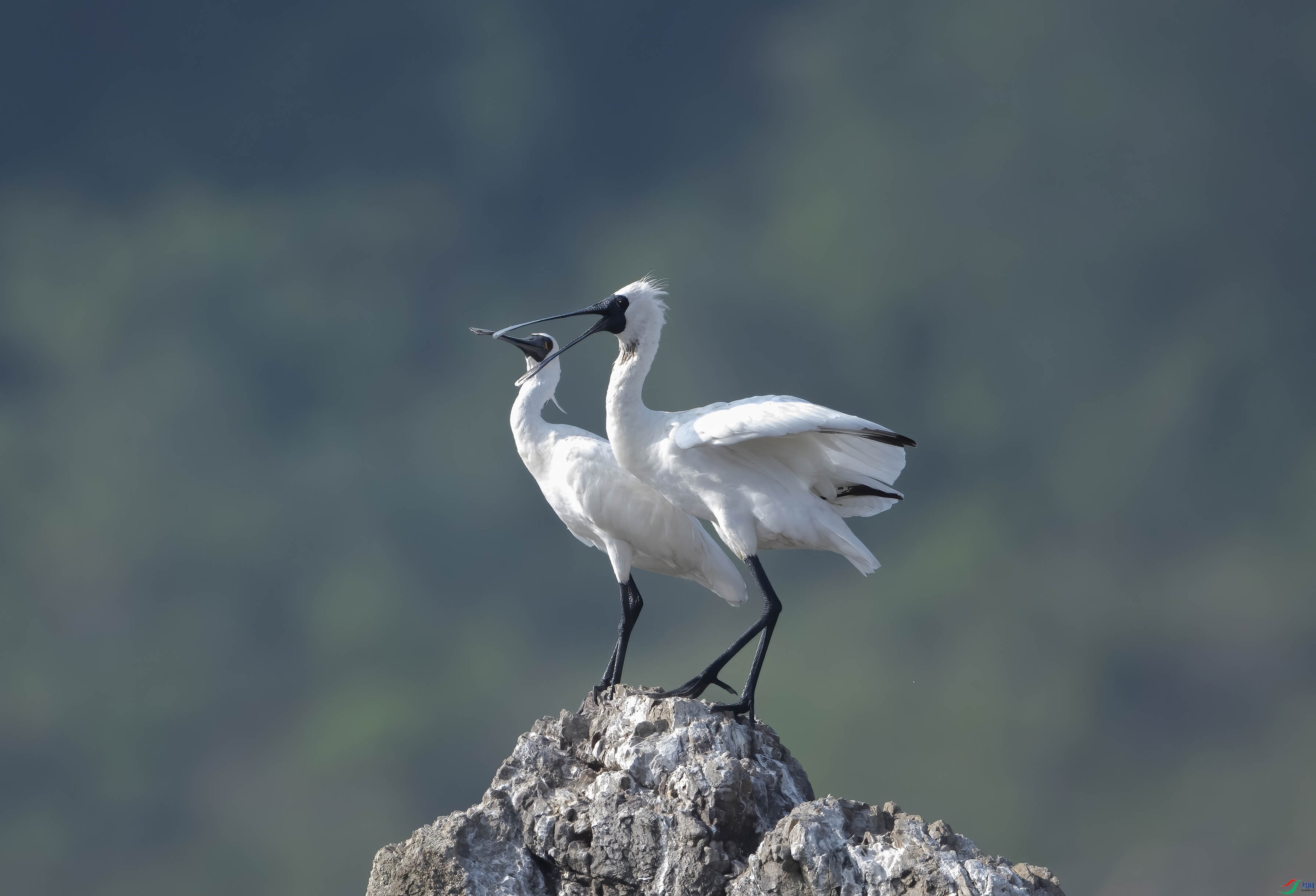 DSC_7759 ����.jpg