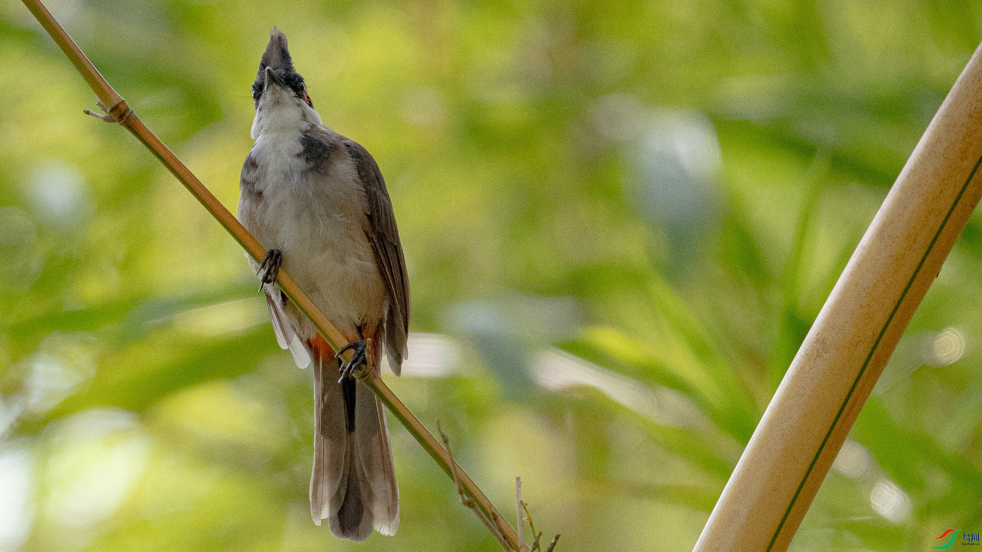 ���������񲻾�