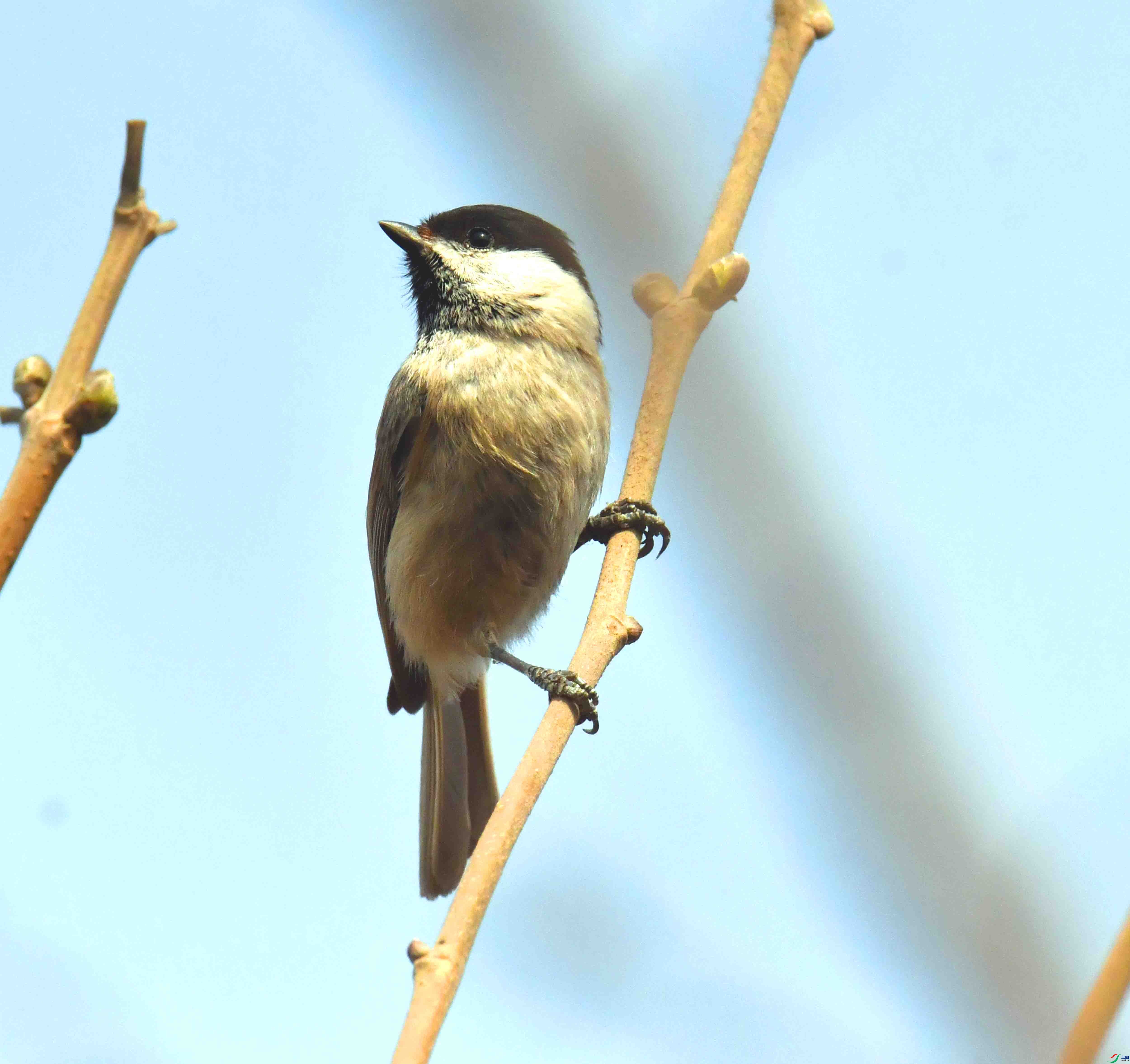 DSC_6769.JPG