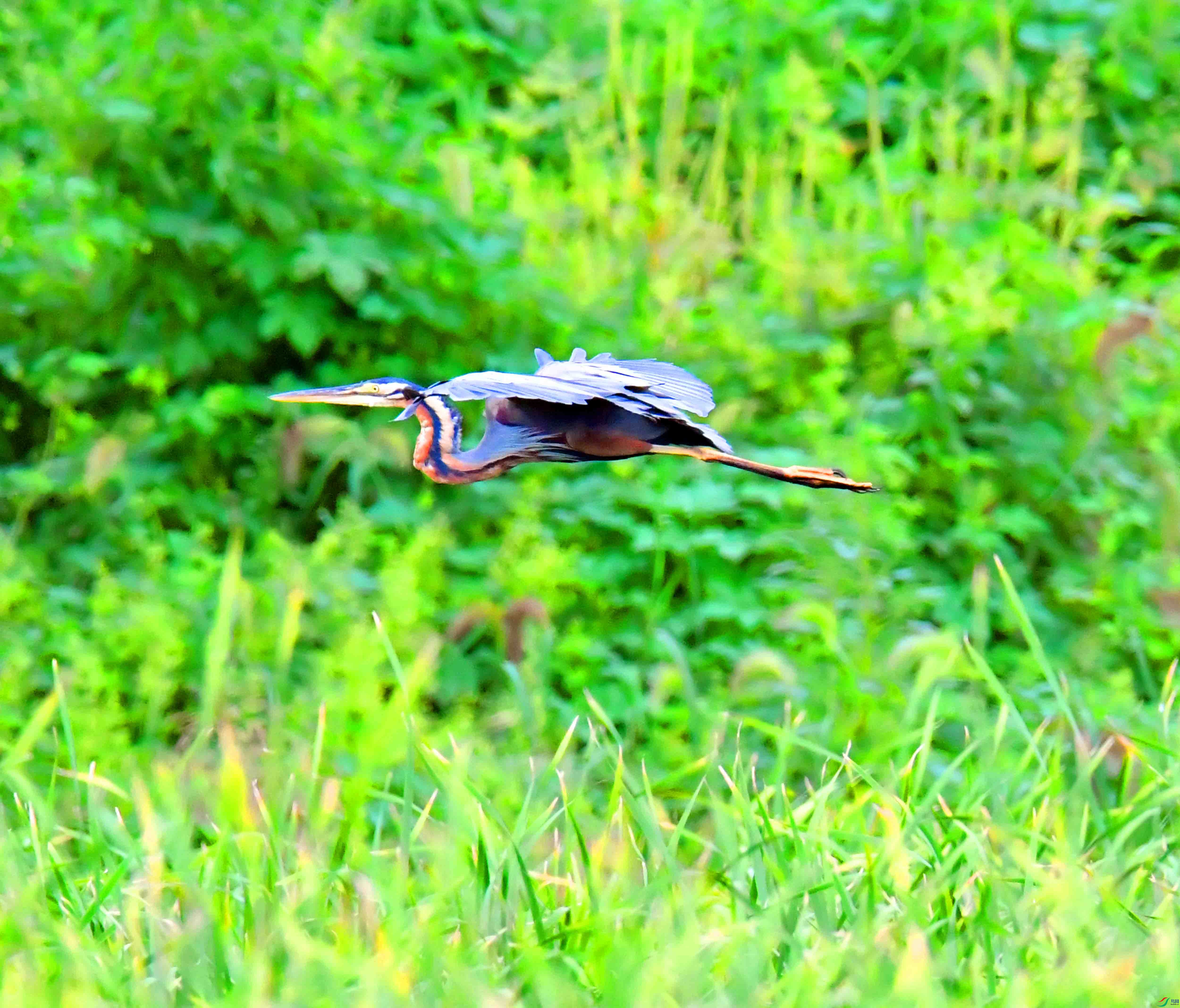 DSC_7880.JPG