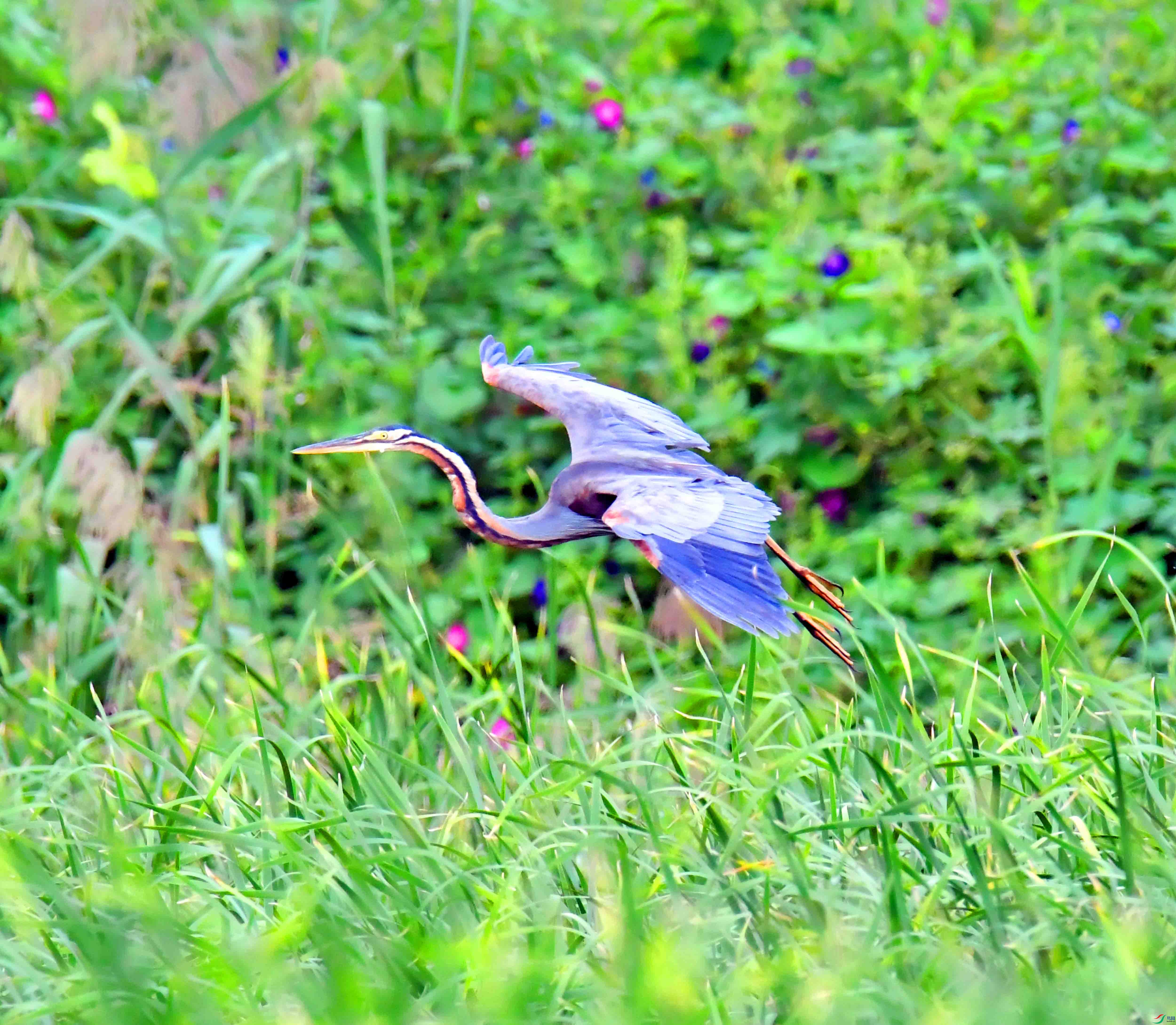 DSC_7883.JPG