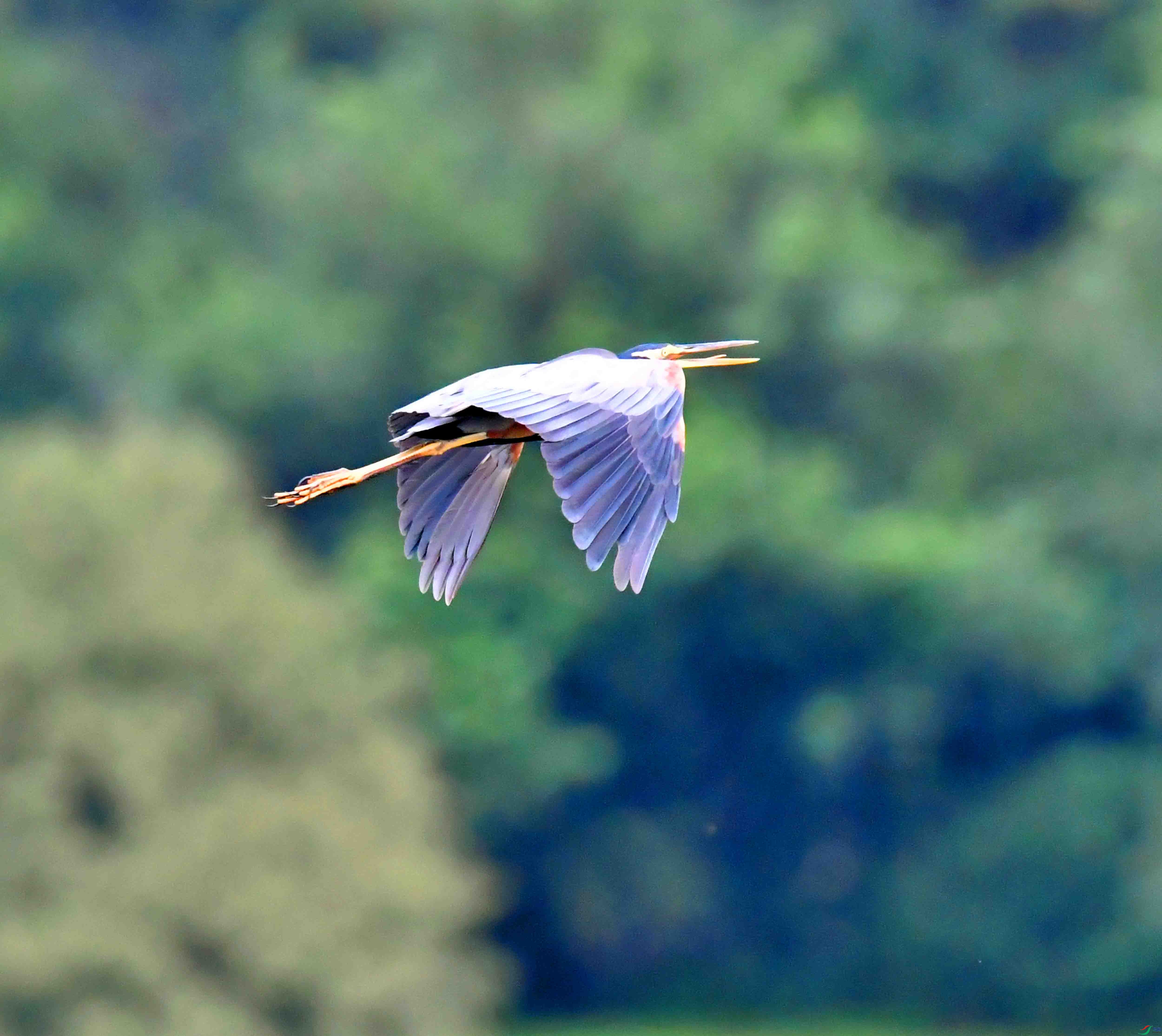 DSC_8021.JPG