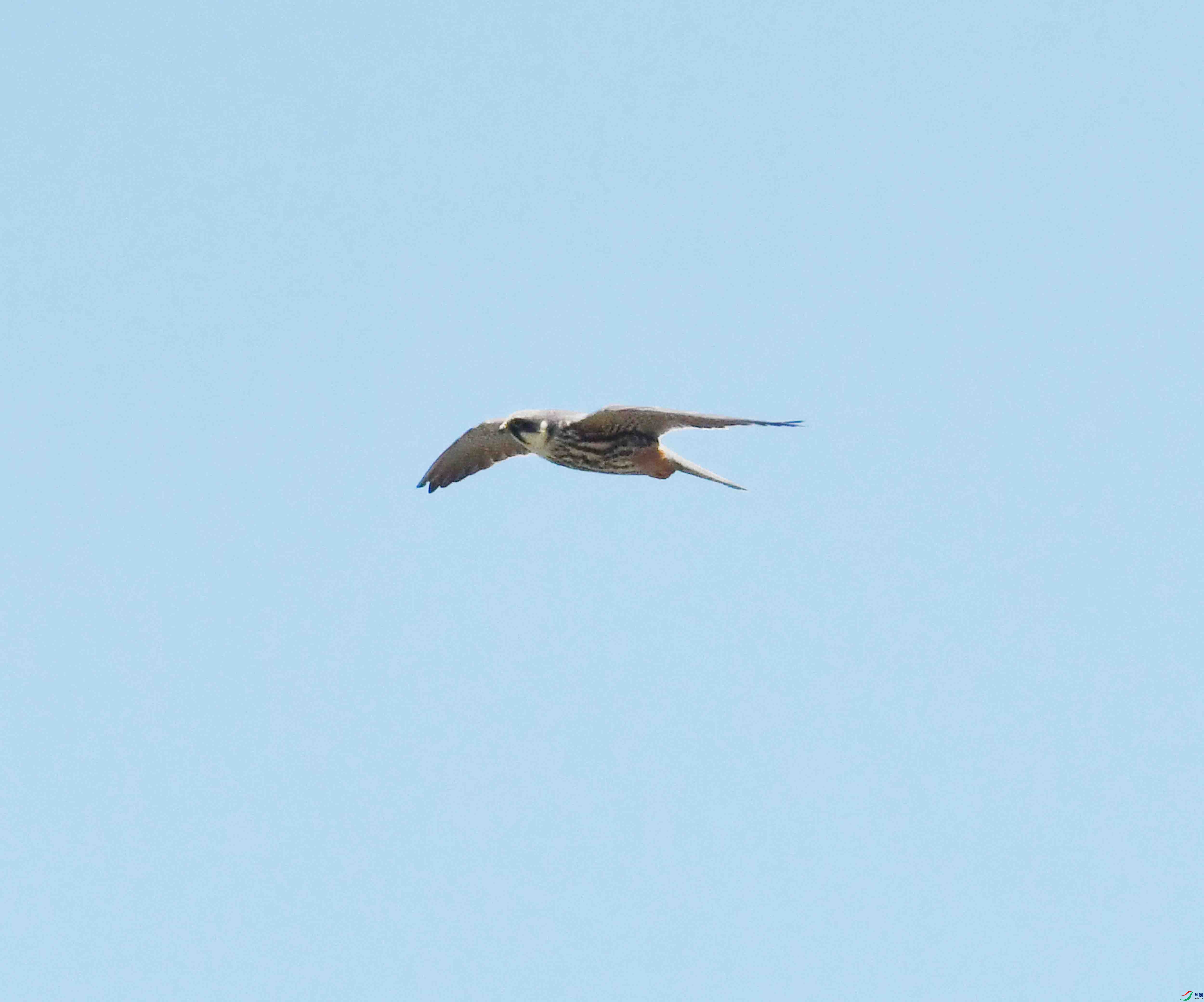 DSC_0093.JPG