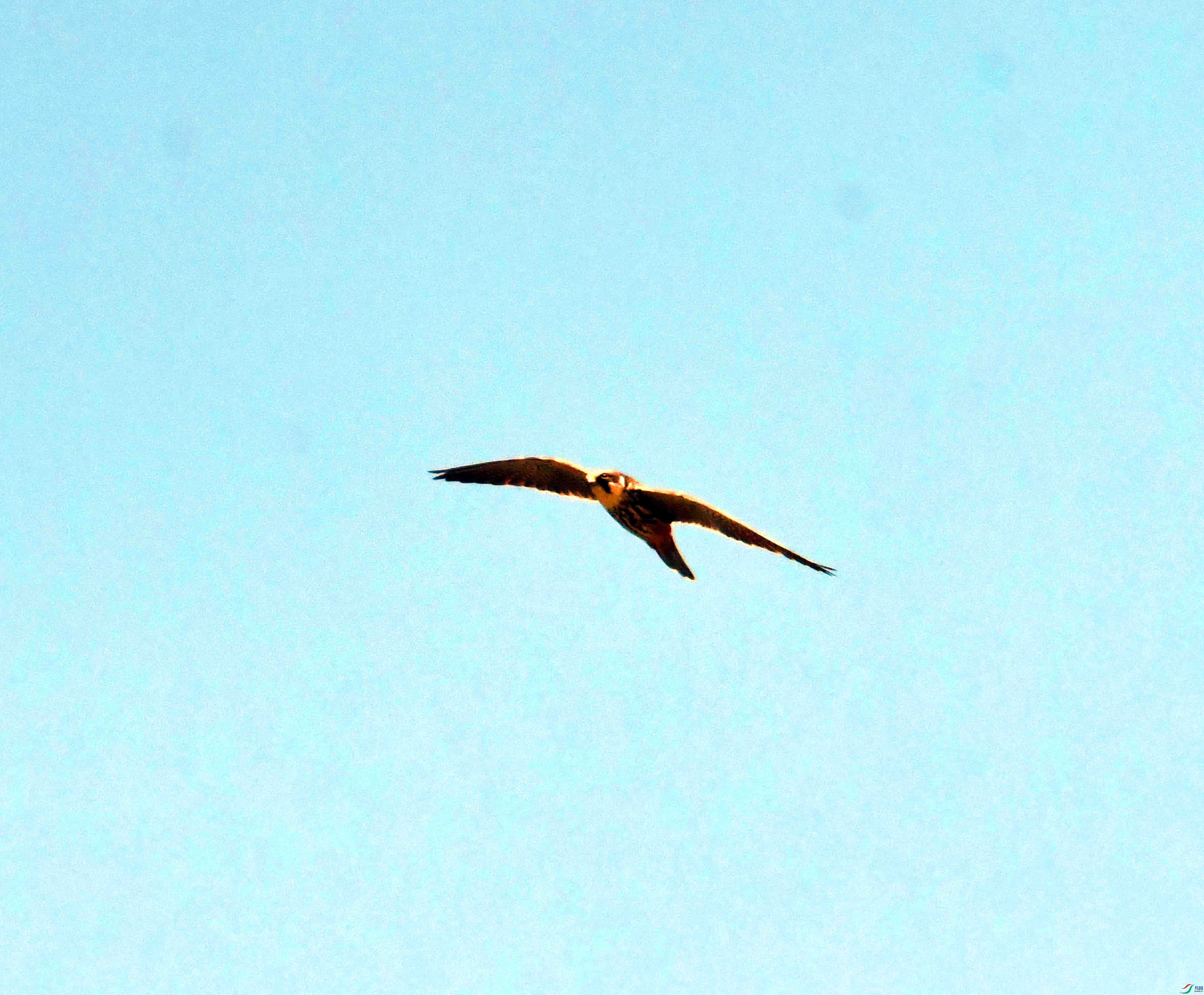 DSC_0097.JPG