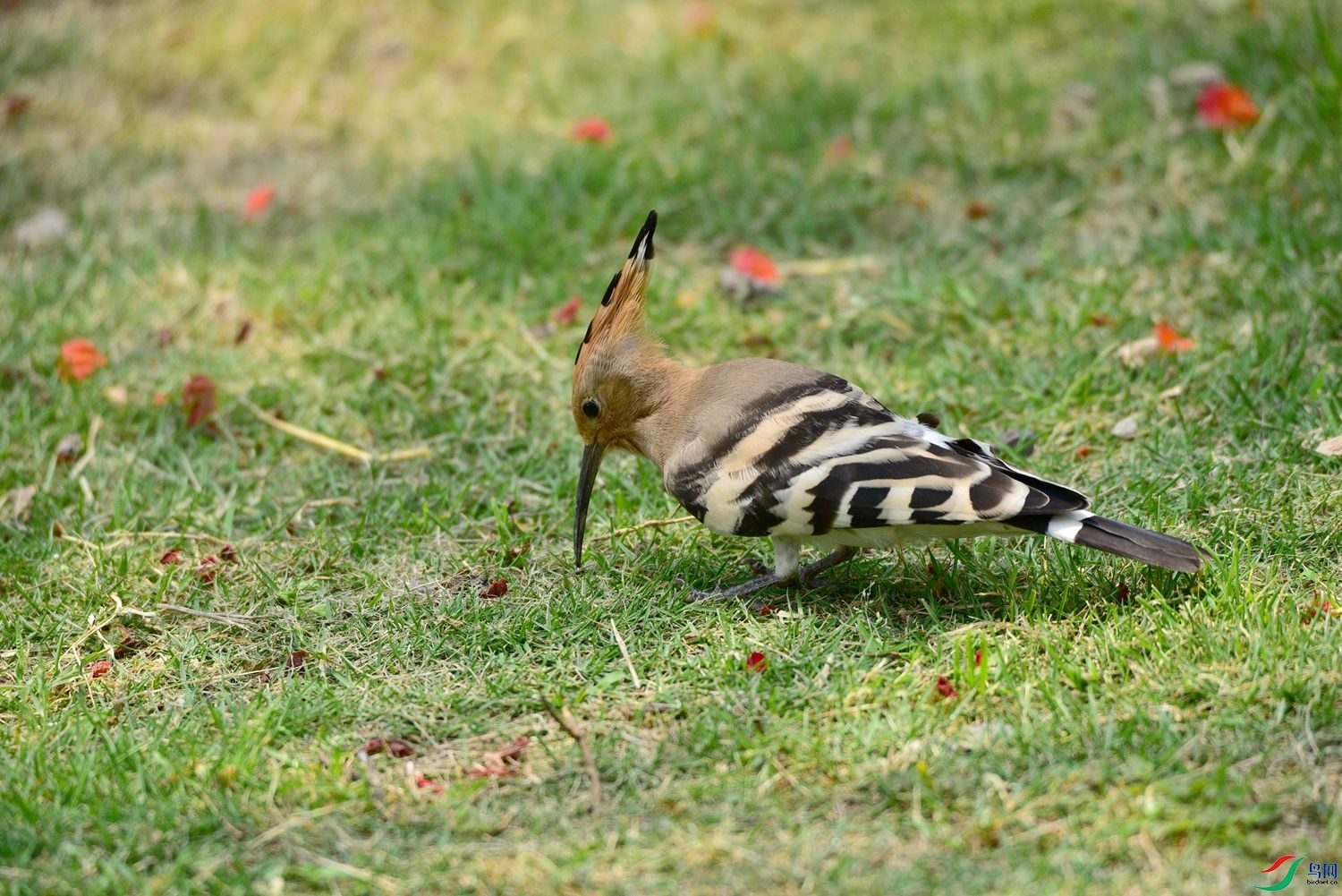 DSC_8026.JPG