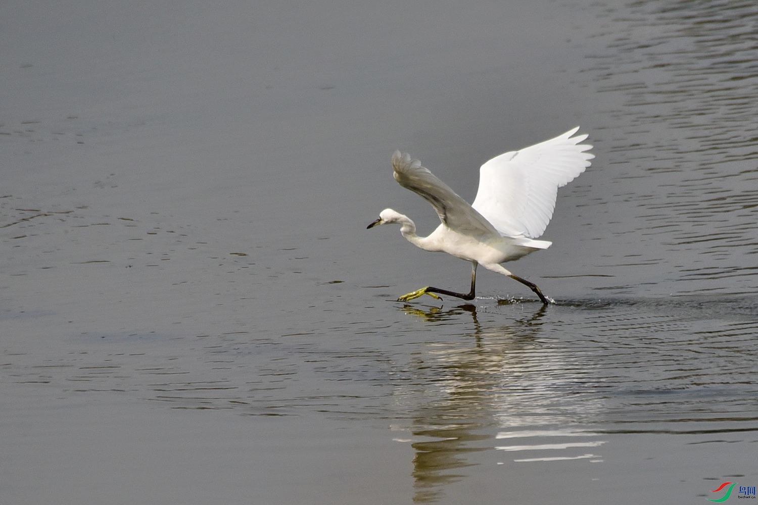 DSC_4026.JPG