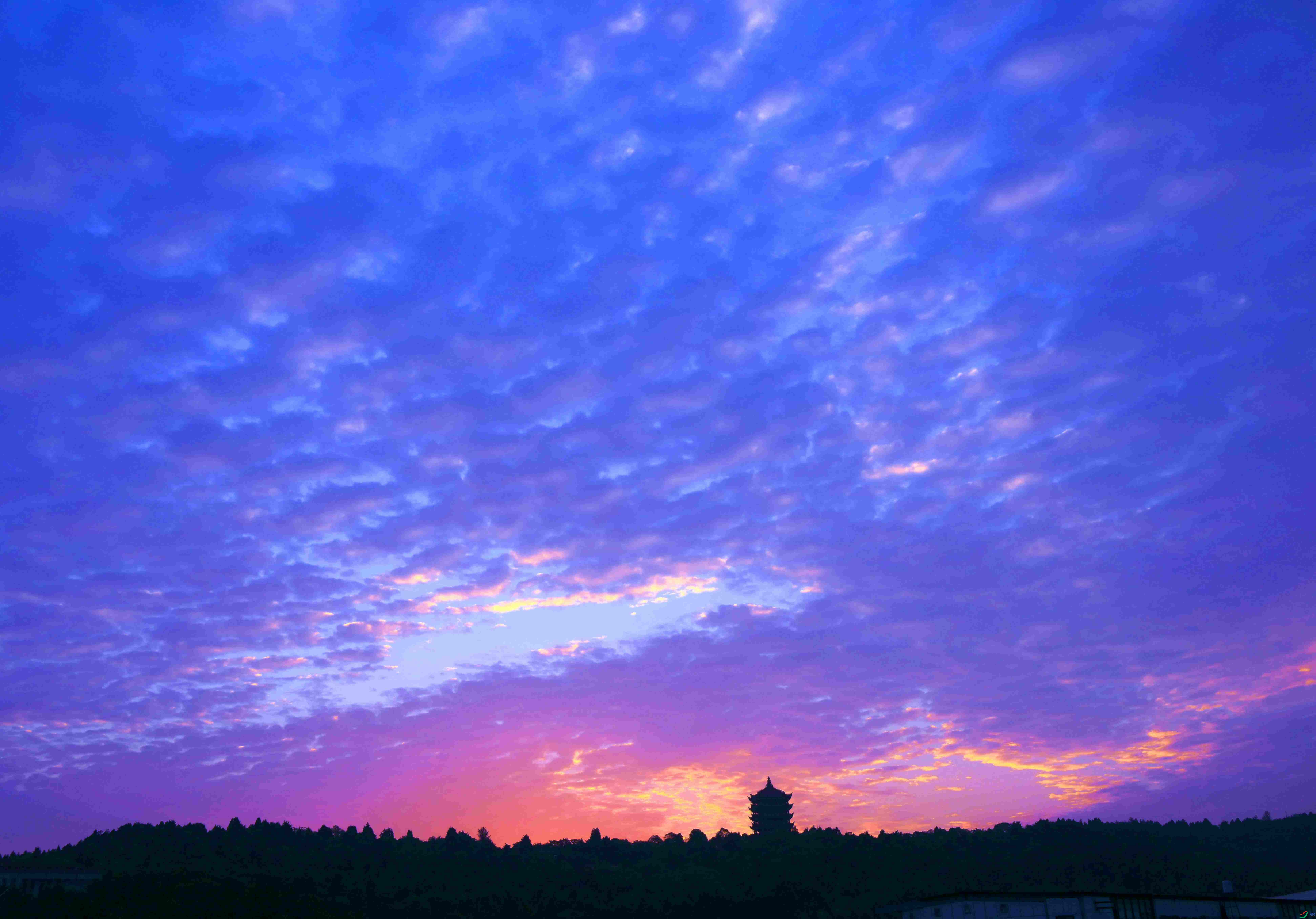 DSC_2425.jpg