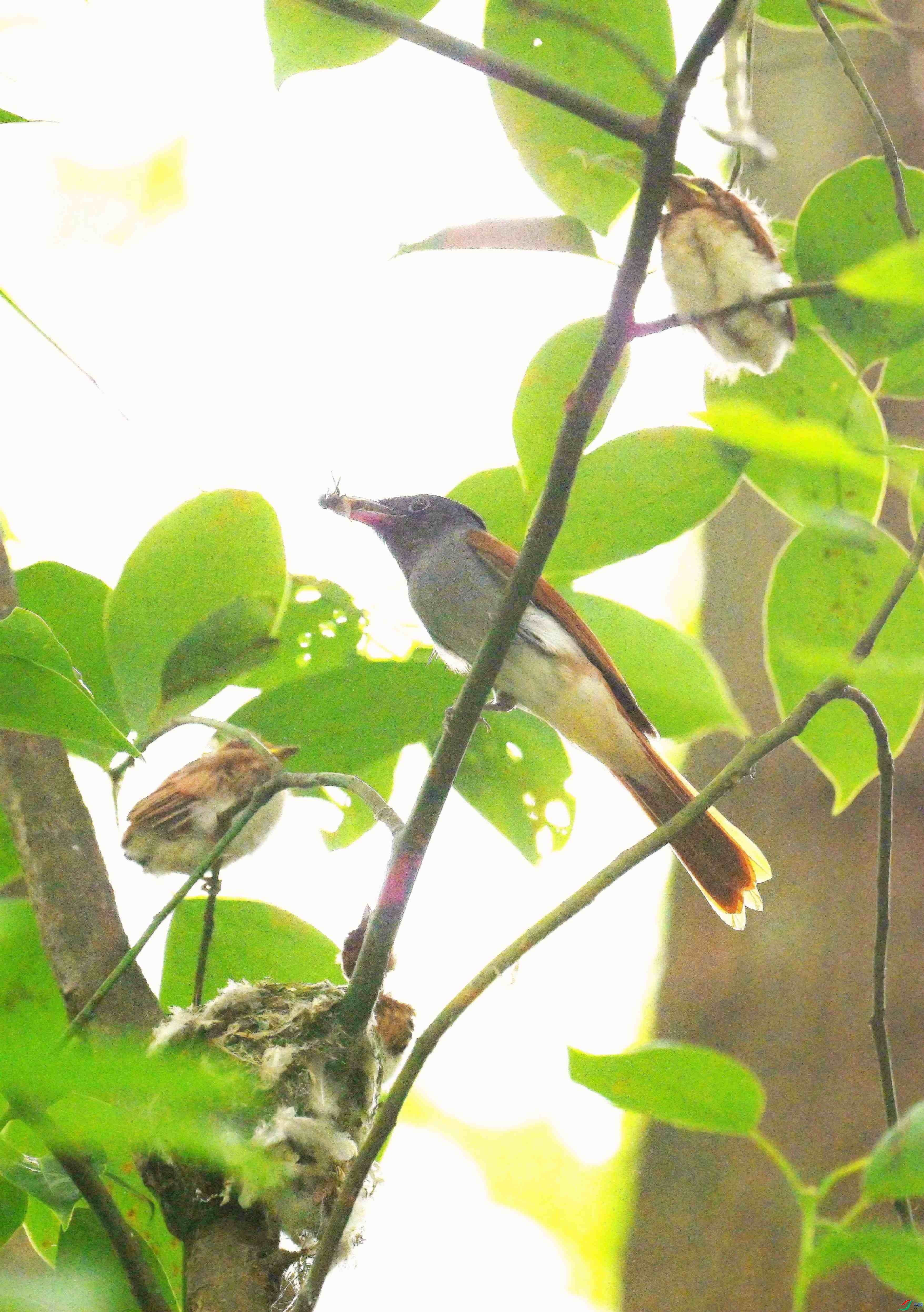 DSC_0016.jpg