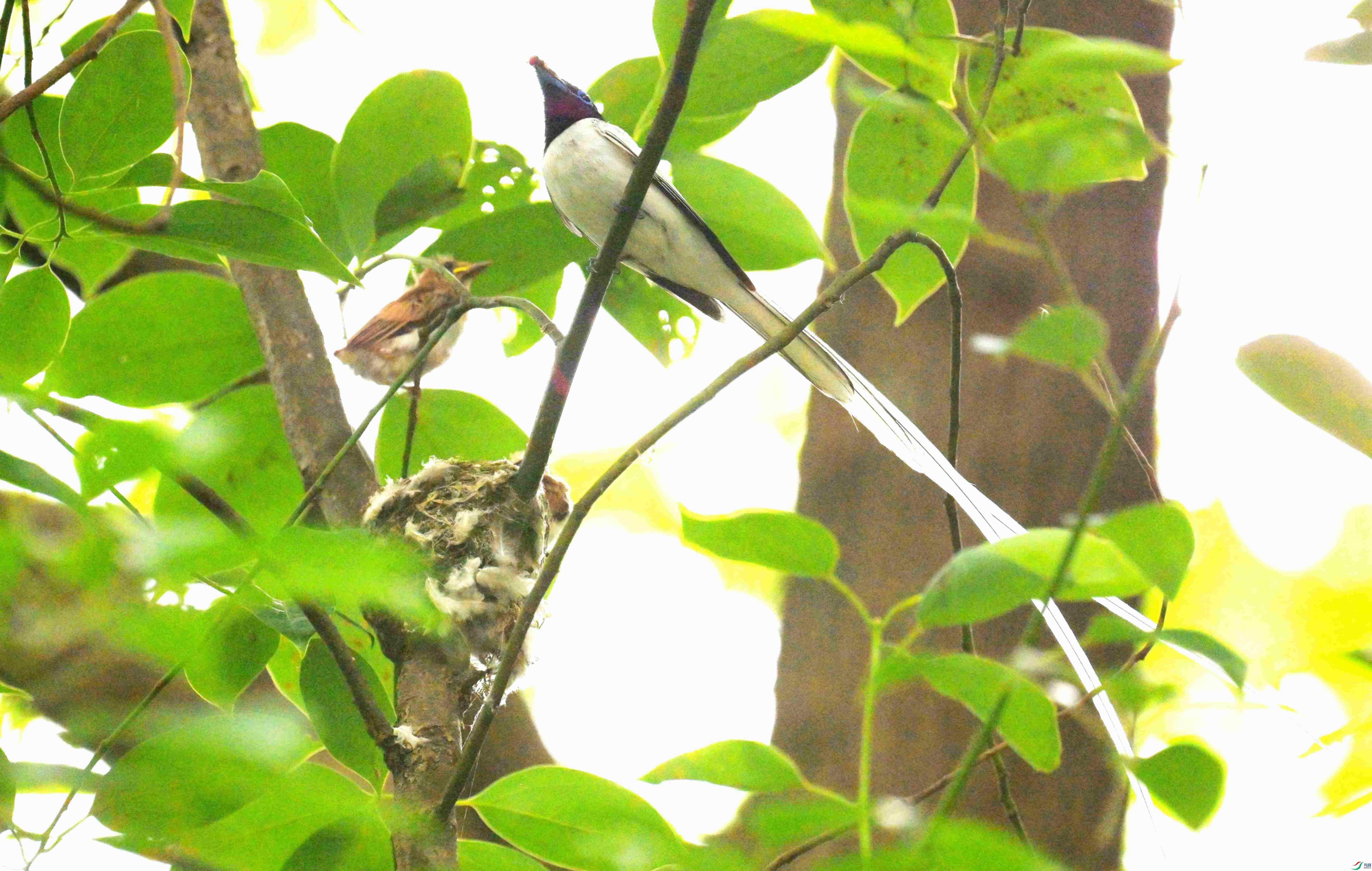 DSC_0043.jpg