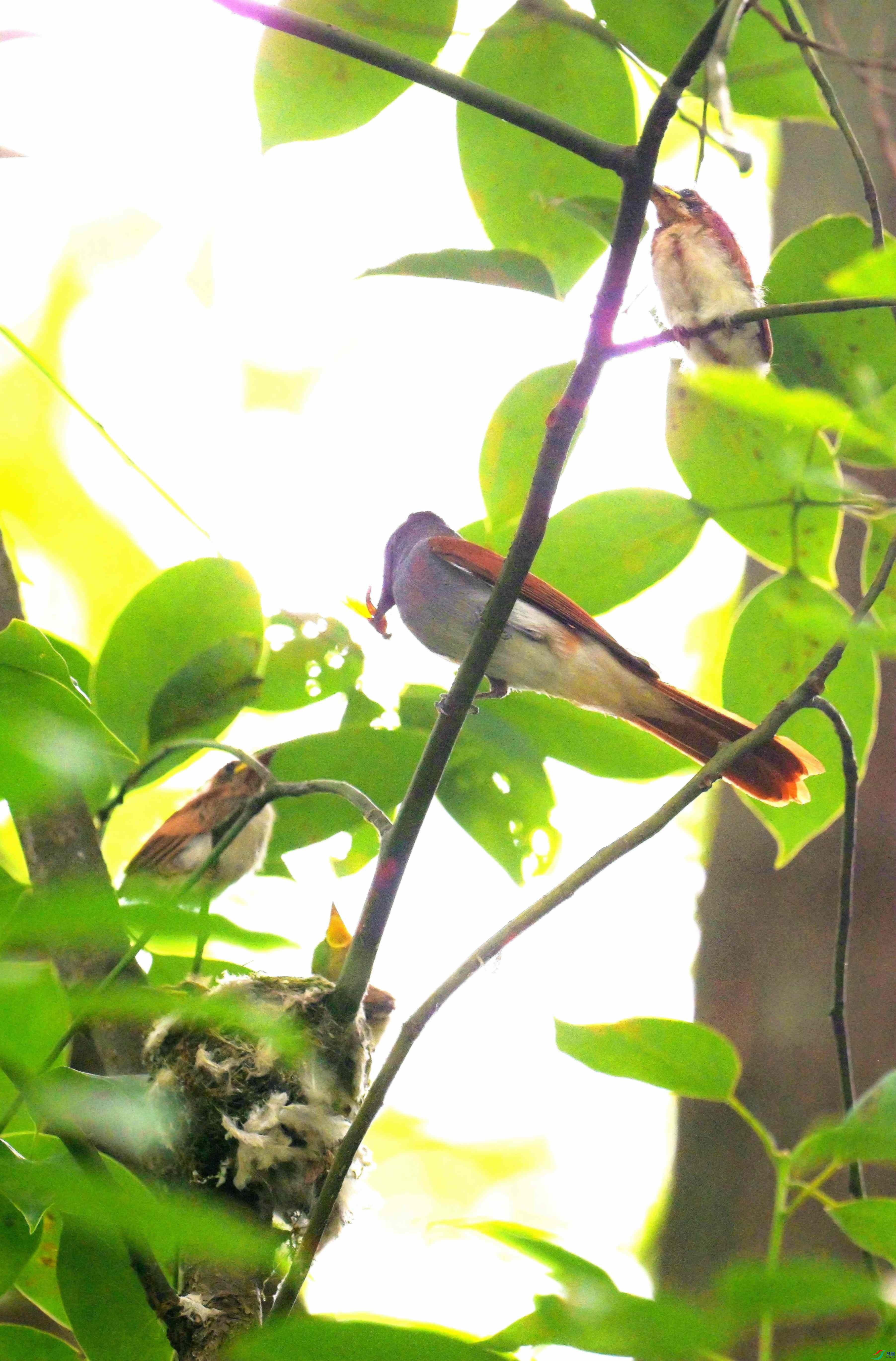 DSC_0199.jpg