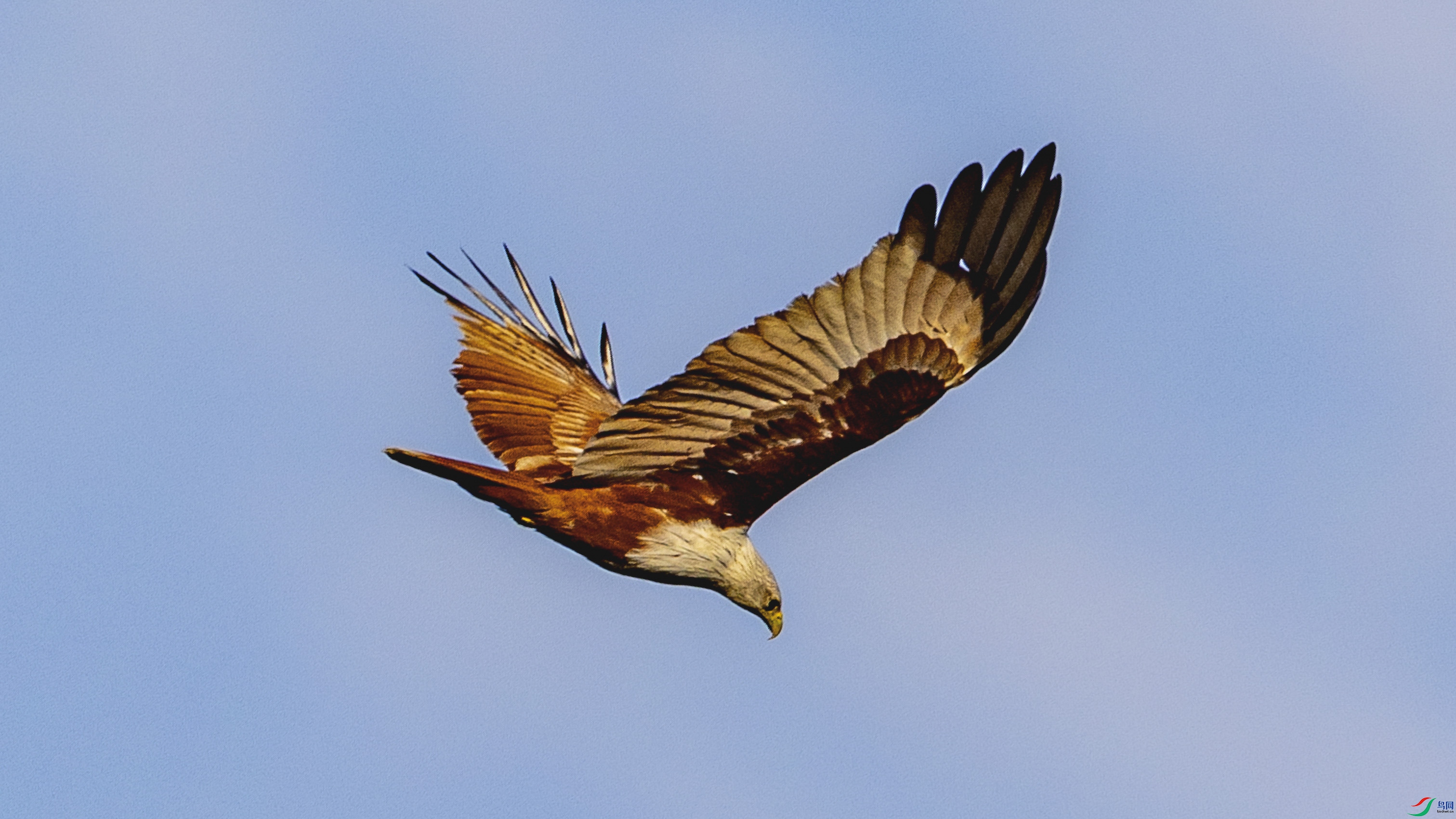 4Z6A5997.jpg