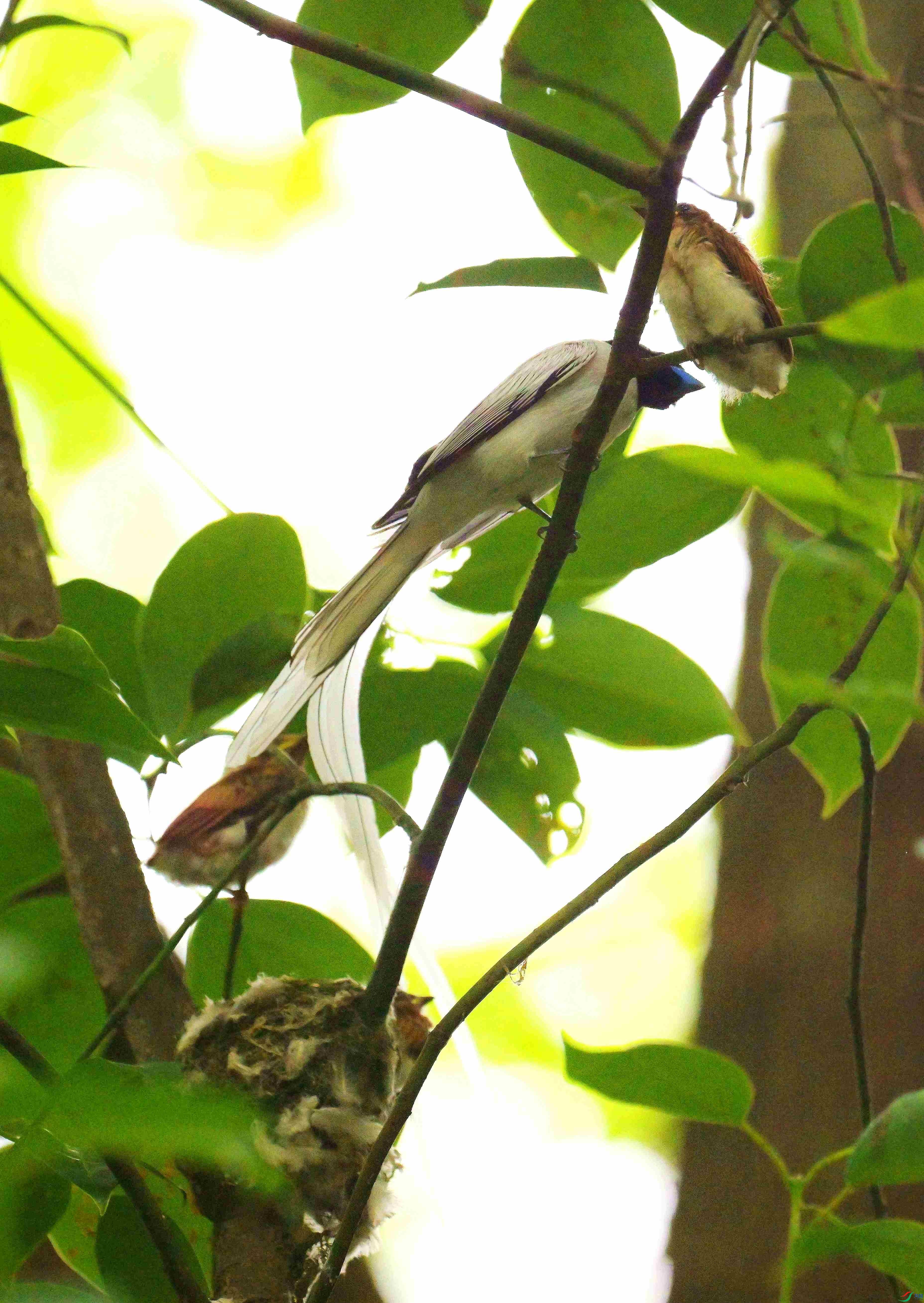 DSC_0067.jpg