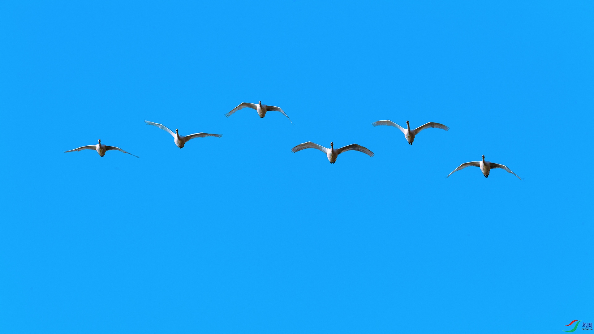 DSC_3587_DxOa.jpg