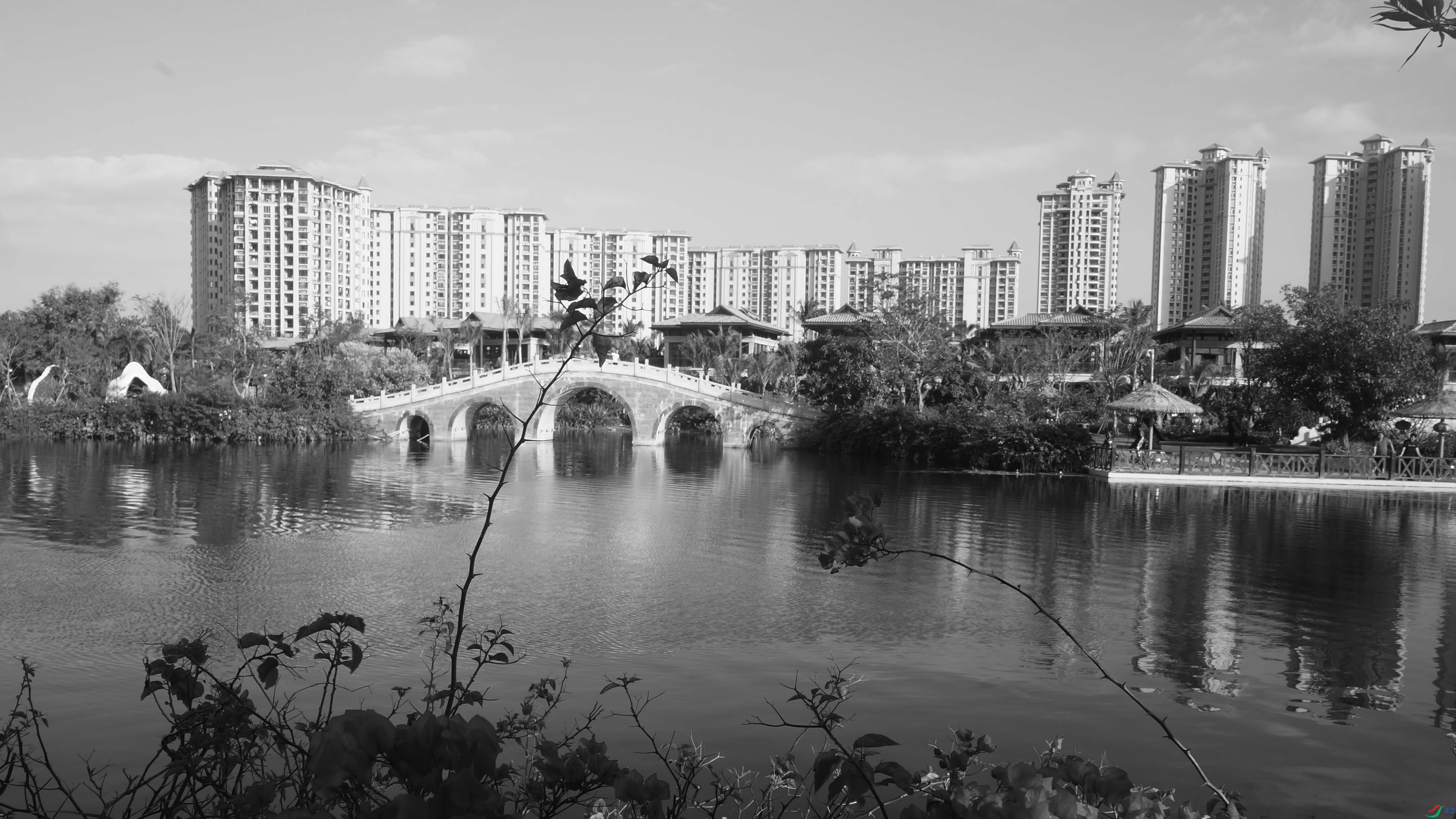 DSC06820.jpg