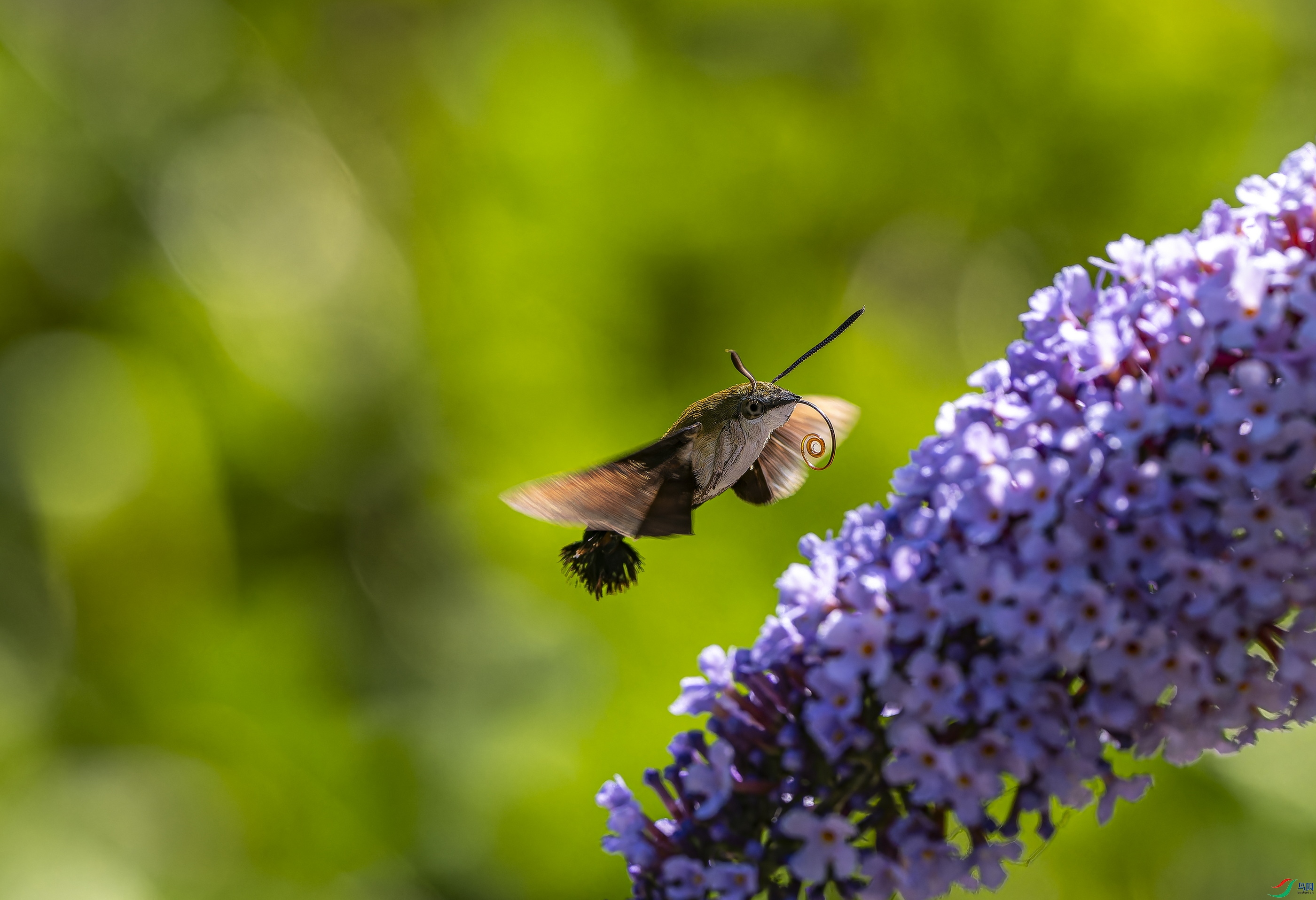 ������ (3)-1.jpg