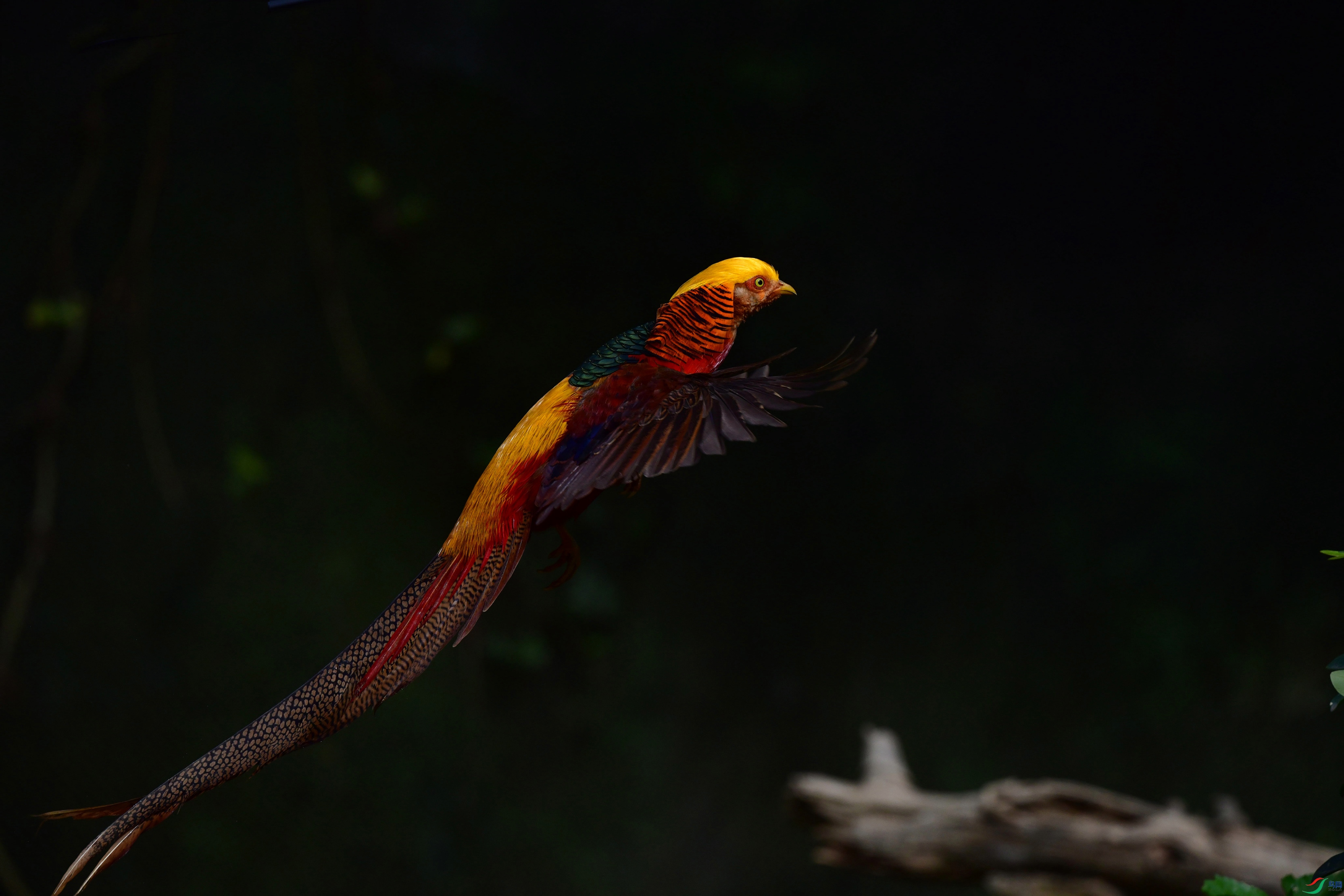 DSC_9288_��ͼ��_����.jpg