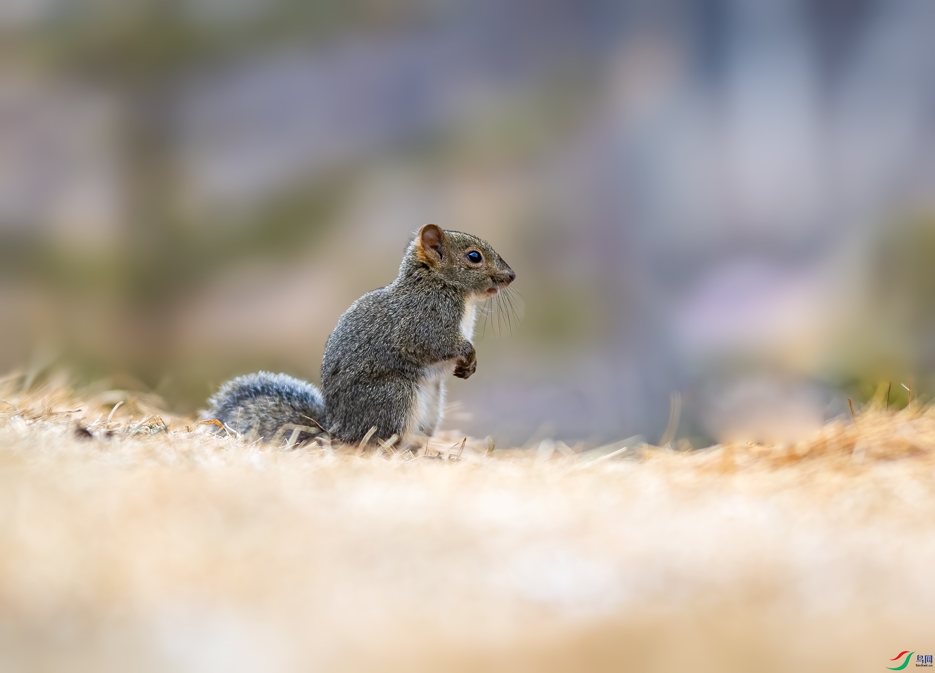 DSC_3474.jpg