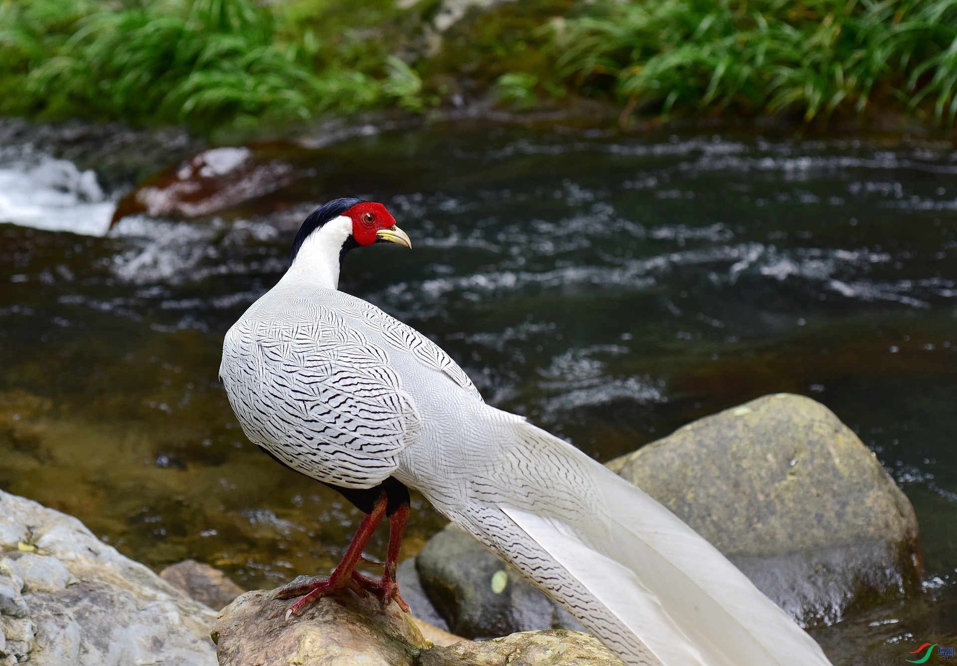 D8I_0541.jpg