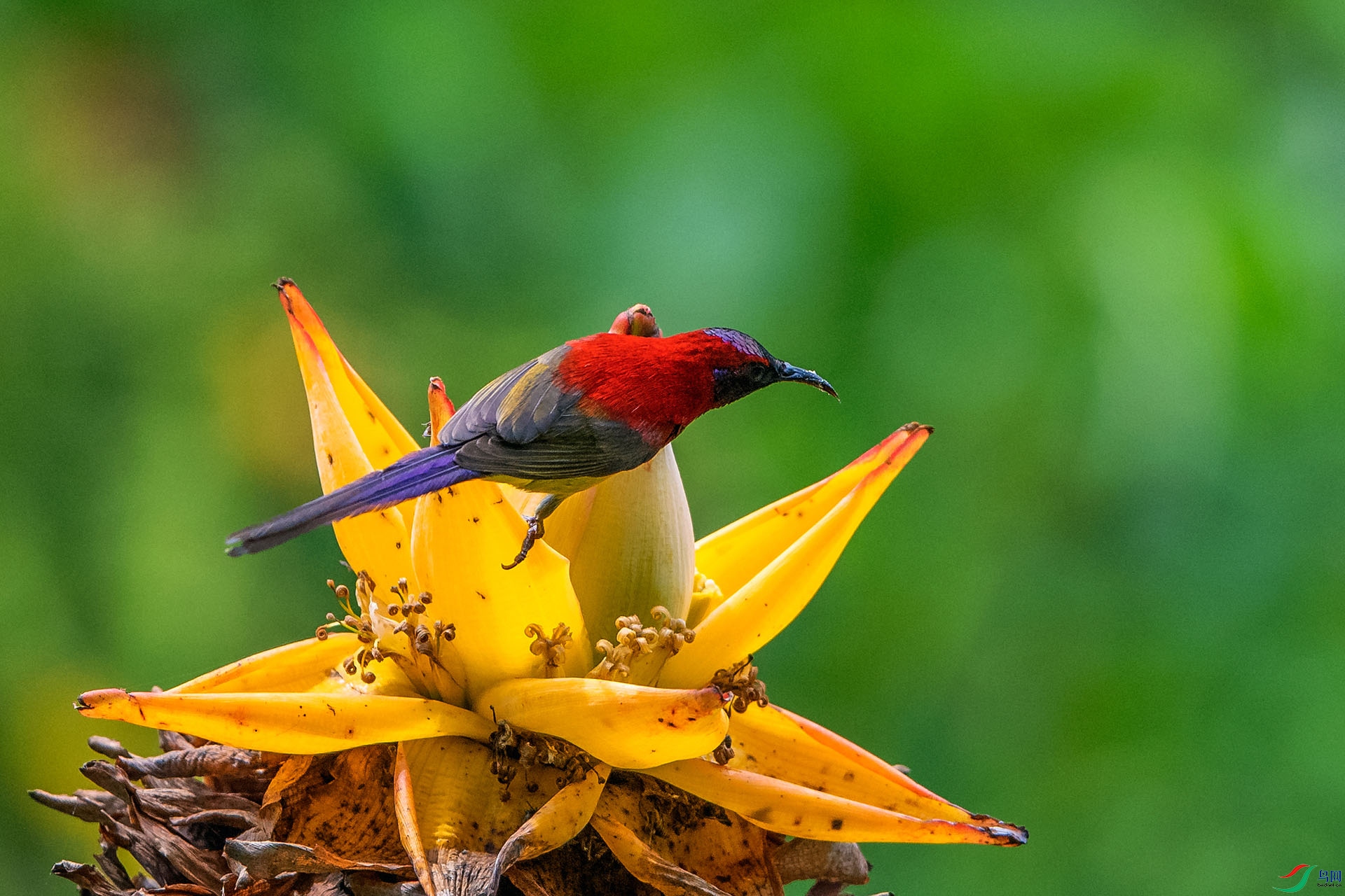 ��_AUU1301������̫����(23.7.3)-1.jpg