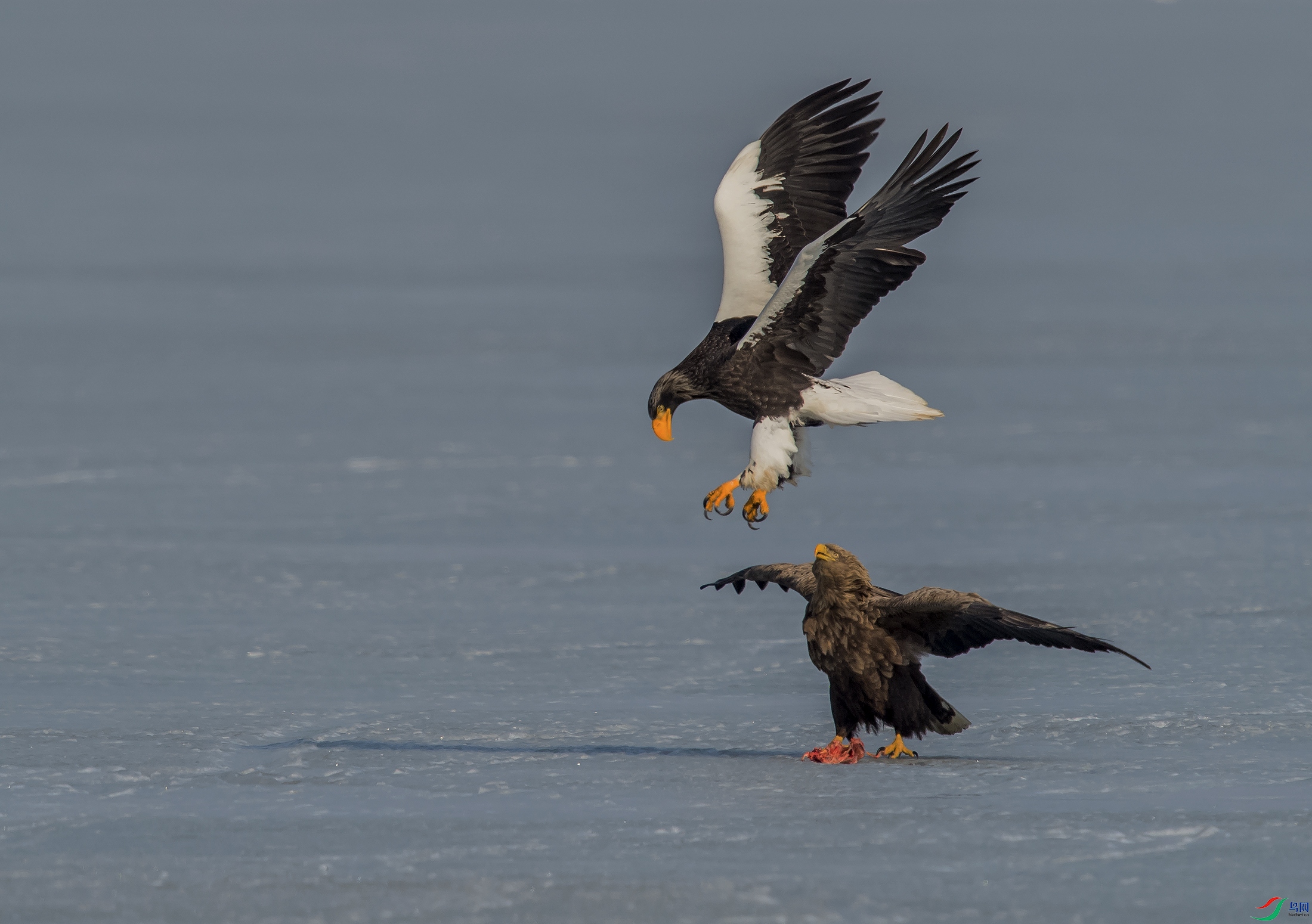 DSC_7587a.jpg